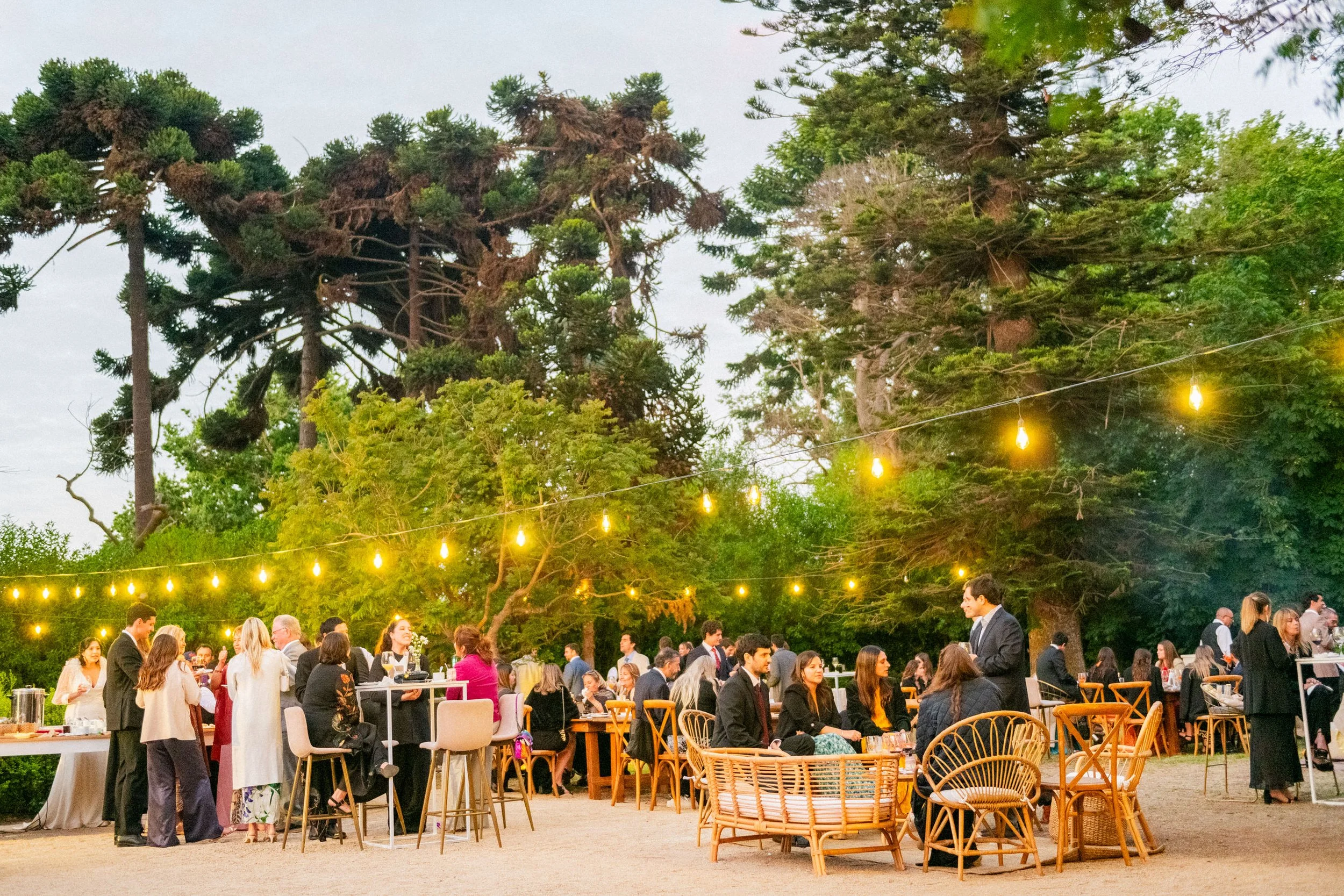 MATRI TONY&CLAU (818 de 1202).jpg