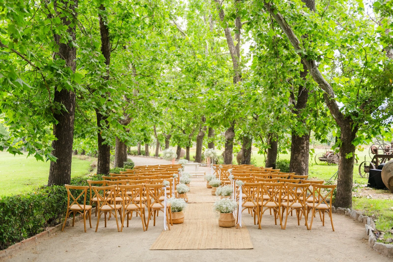 MATRI FRAN&MAX (128 de 1379).jpg