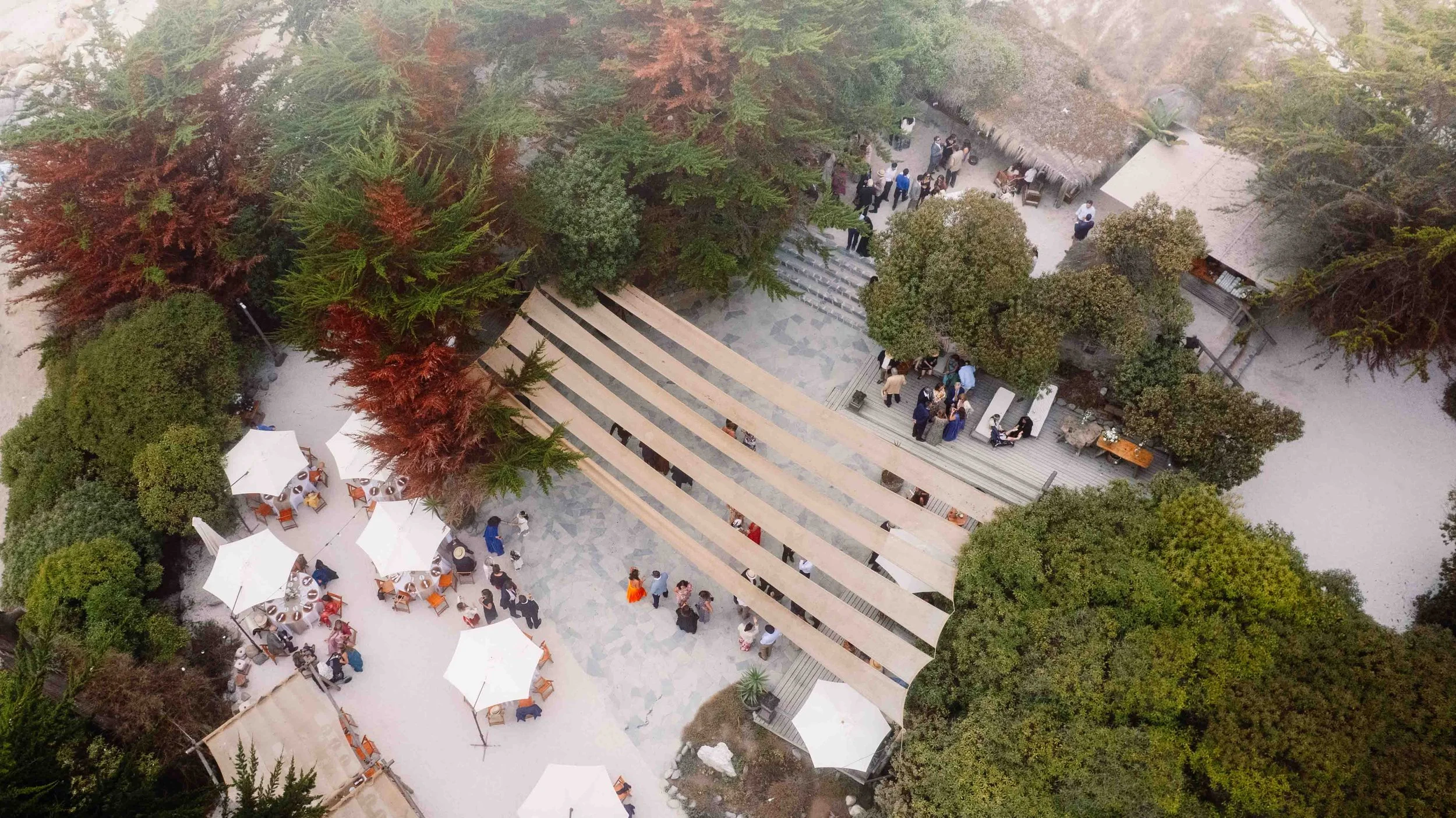 CAMILA ABRIL 2026 (2 de 2).jpg