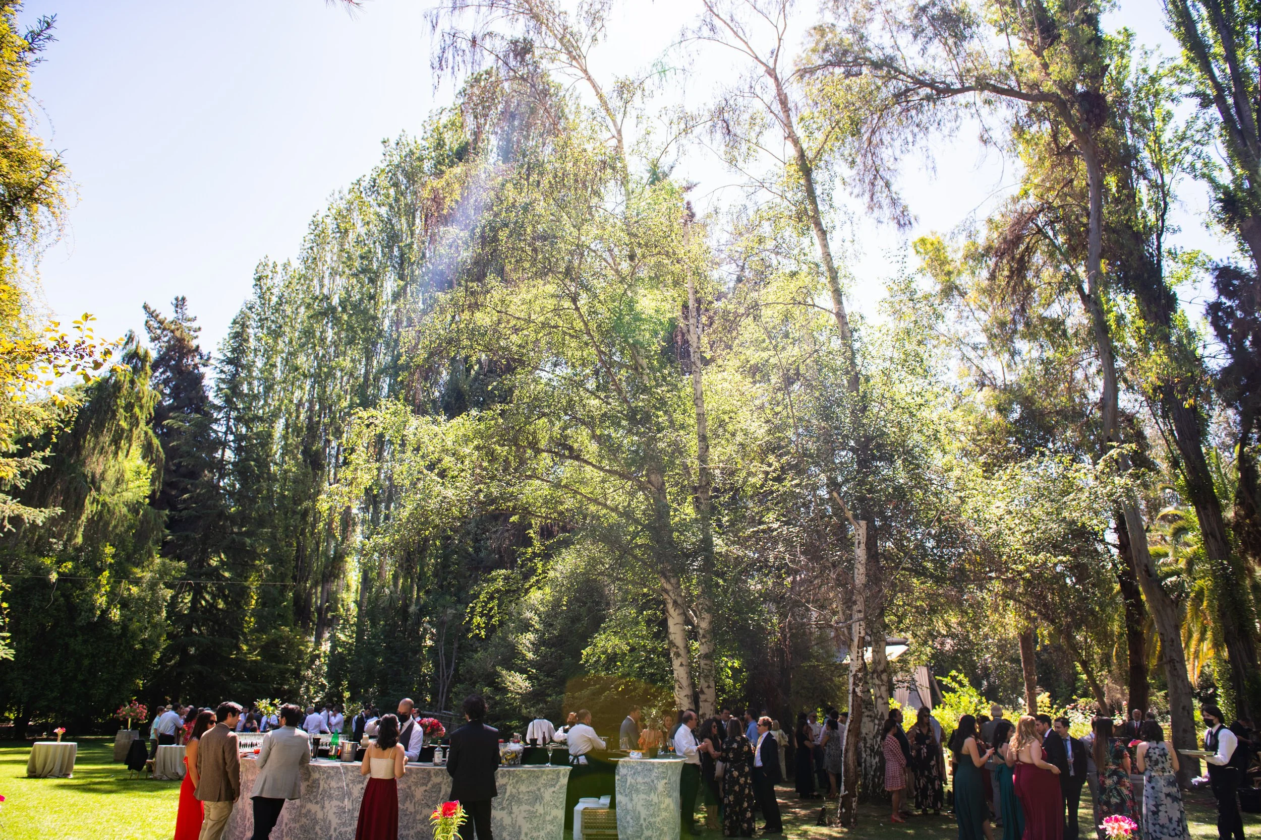 MATRI_MONSE&SEBAS (431 de 1353).jpg