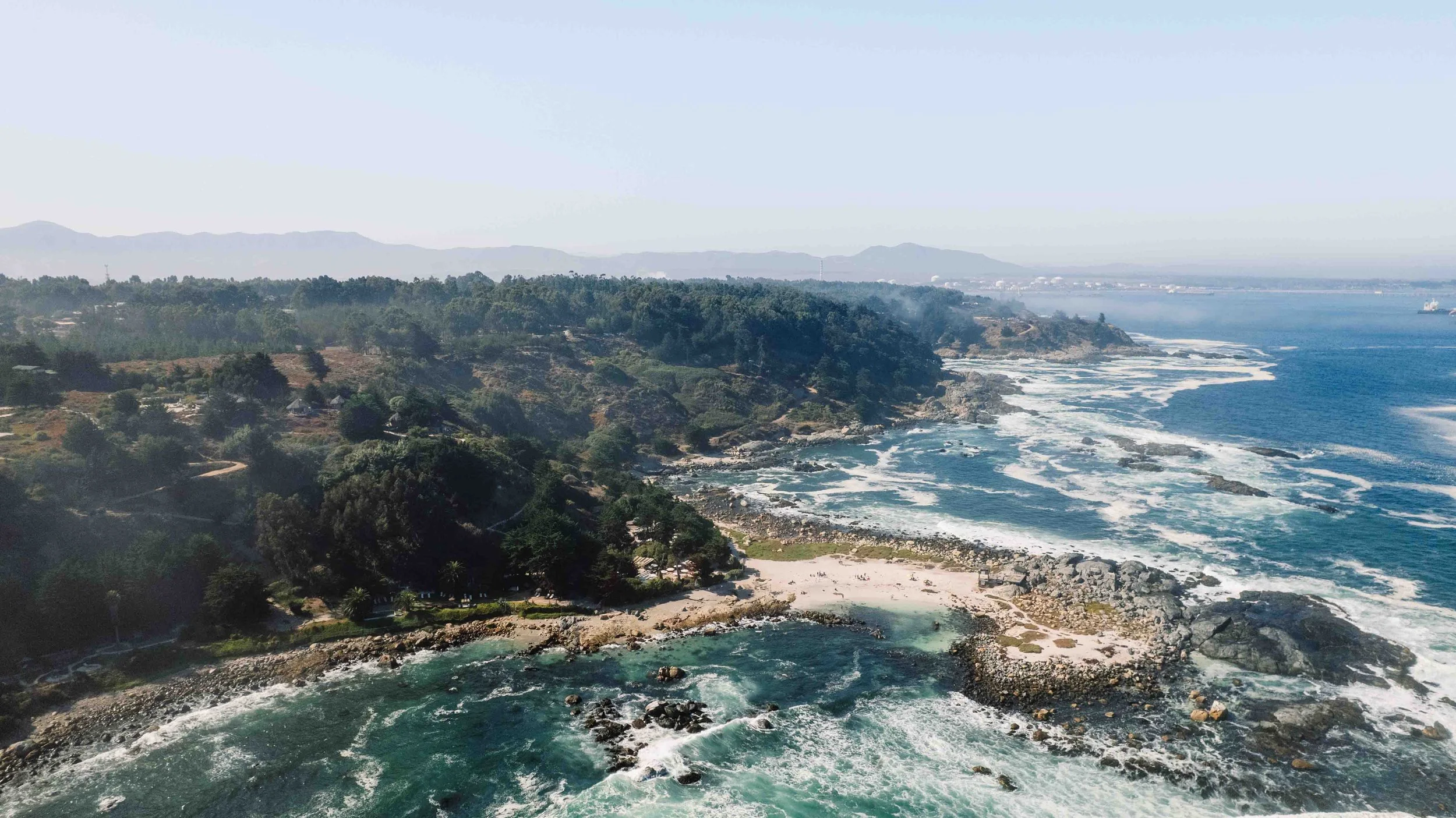 CAMILA ABRIL 2026 (1 de 2).jpg