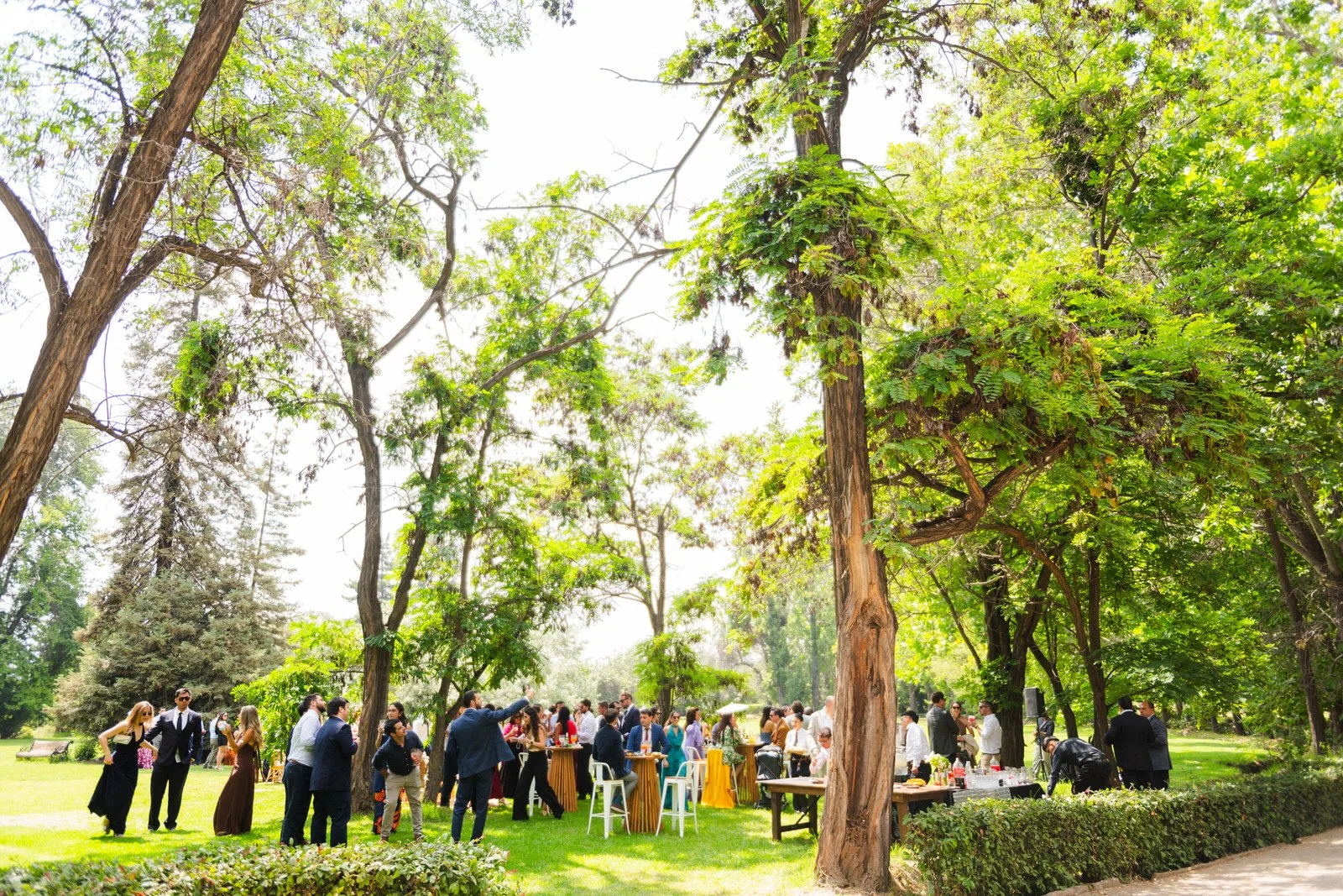 MATRI FRAN&MAX (667 de 1379).jpg