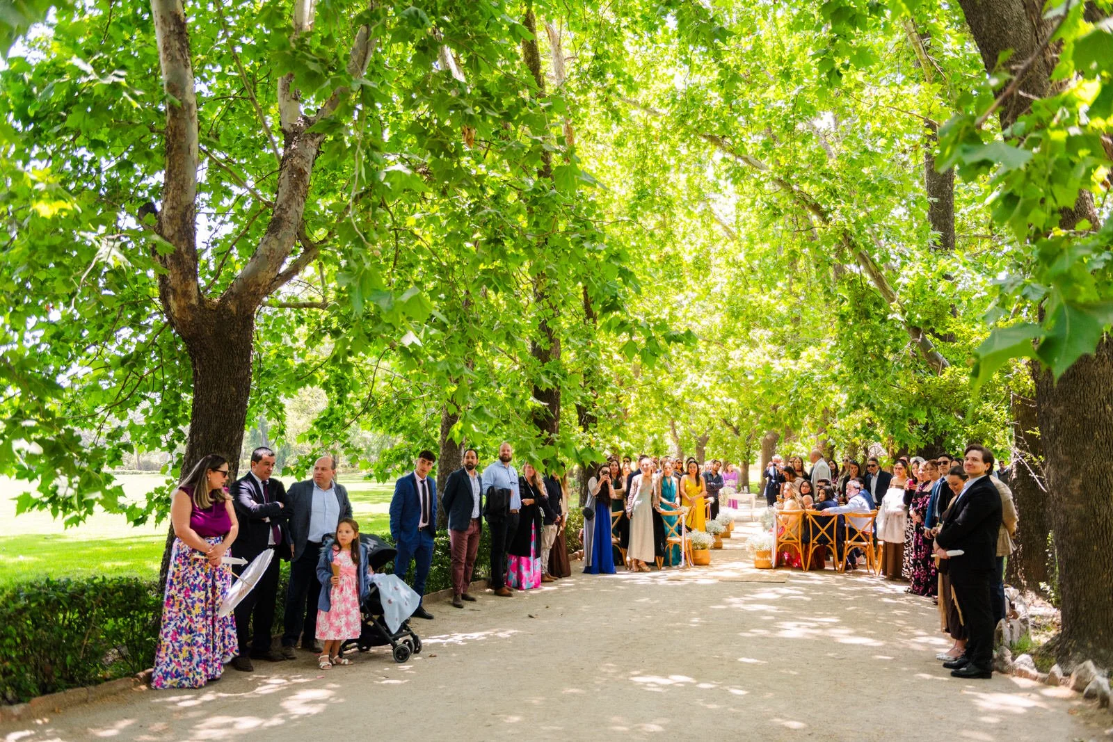 MATRI FRAN&MAX (239 de 1379).jpg