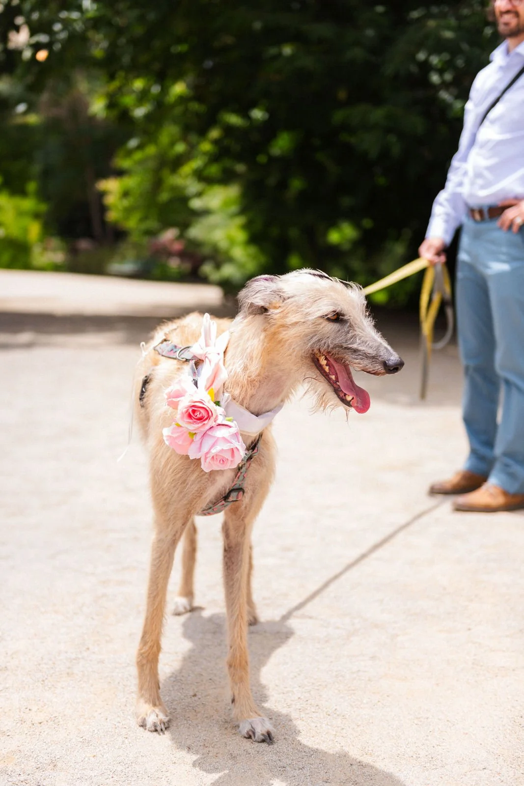 MATRI FRAN&MAX (206 de 1379).jpg