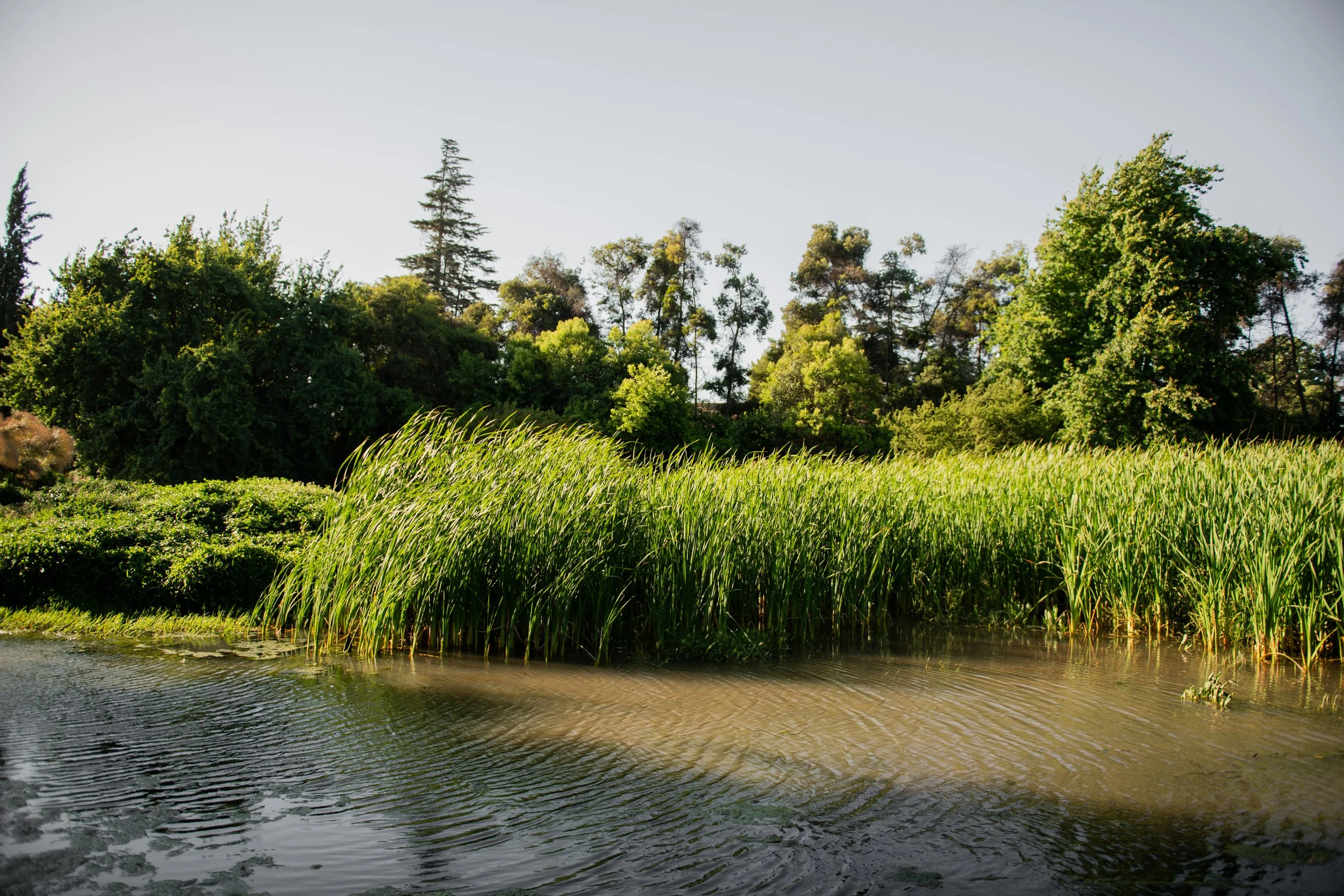 MATRI VANIA&SEBAS (589 de 1035).jpg