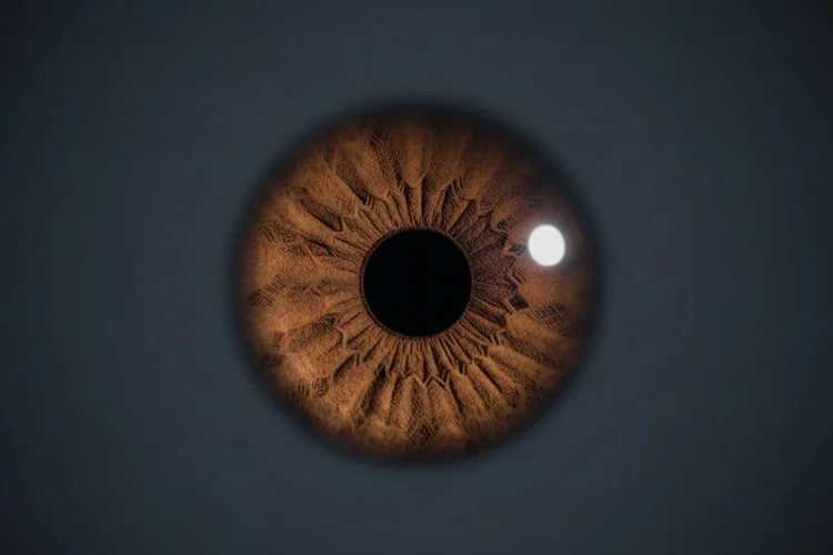 The End of Reading Glasses: How 'Vizz' Eye Drops Are Changing the Way We Age