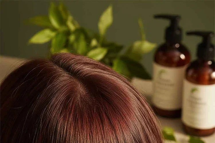 Why Your Anti-Aging Strategy Is Missing Its Foundation