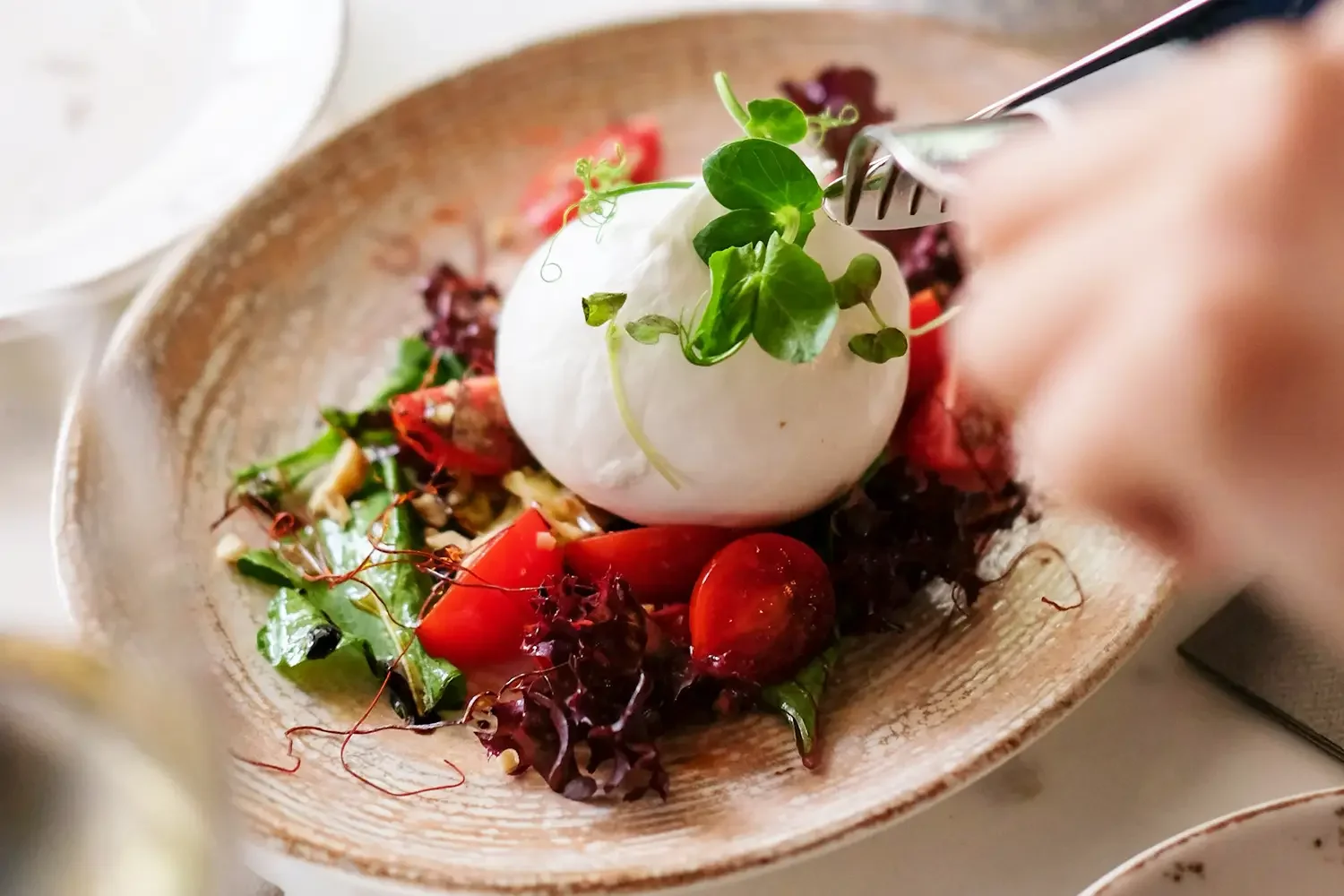 A gourmet Burrata cheese salad served on a rustic plate with roasted cherry tomatoes, fresh greens, and a drizzle of olive oil, highlighting a skin-healthy Mediterranean meal.