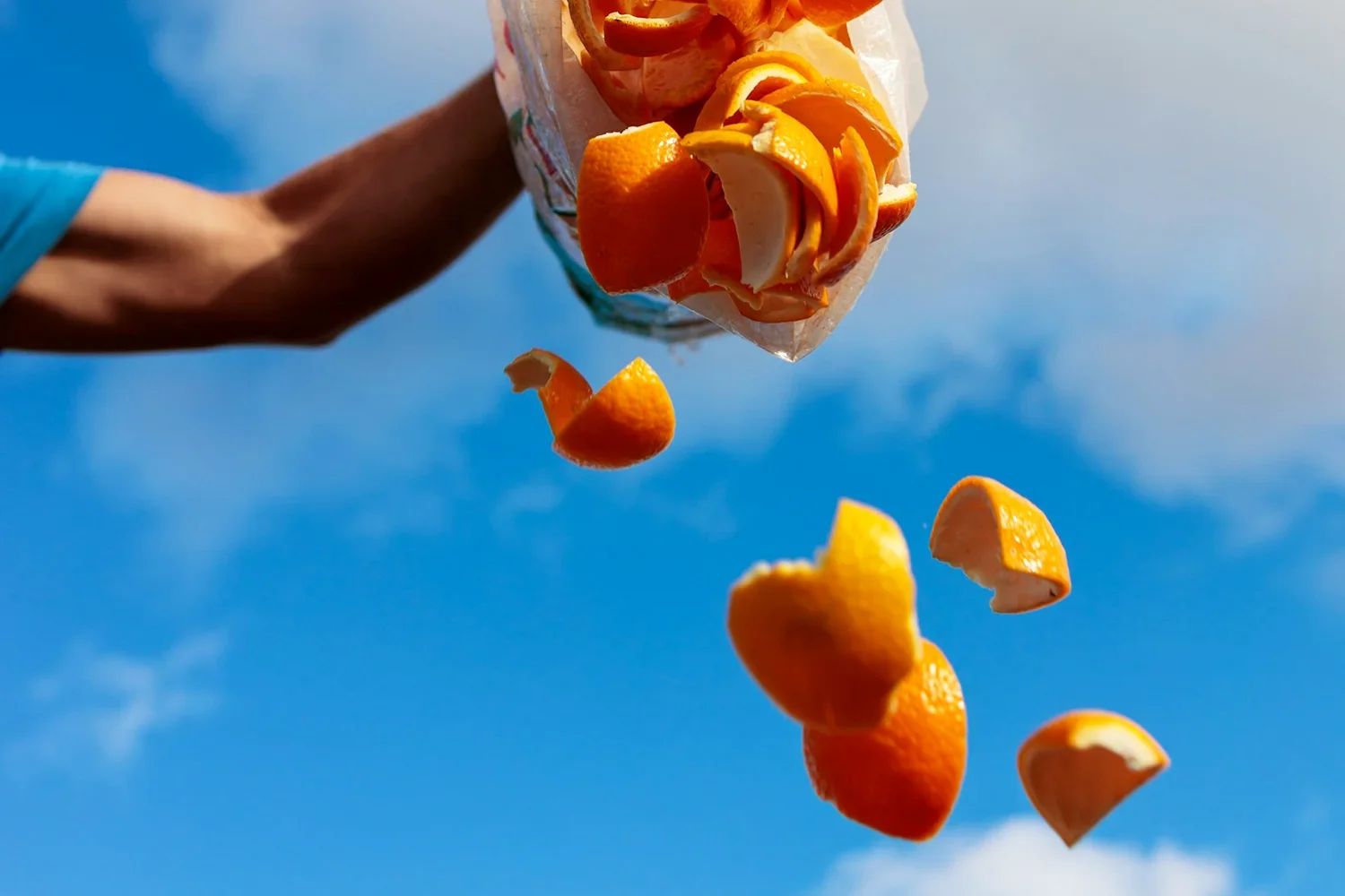 How Upcycled Food Waste Becomes High Performance Skincare