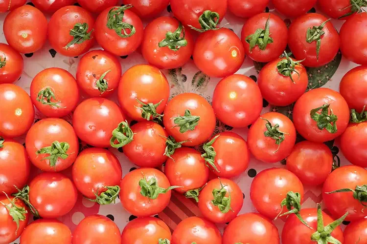 Close-up overhead shot of multiple vibrant red cherry tomatoes. Each tomato has a small green leaf-like stem attached, and they are spread out.