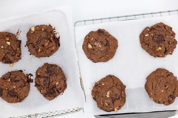 Freshly baked chocolate walnut cookies resting on trays to cool