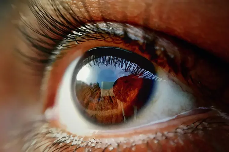 An extreme close-up shot of a healthy human eye, showcasing detailed eyelashes and a clear reflection of an outdoor landscape on the cornea.