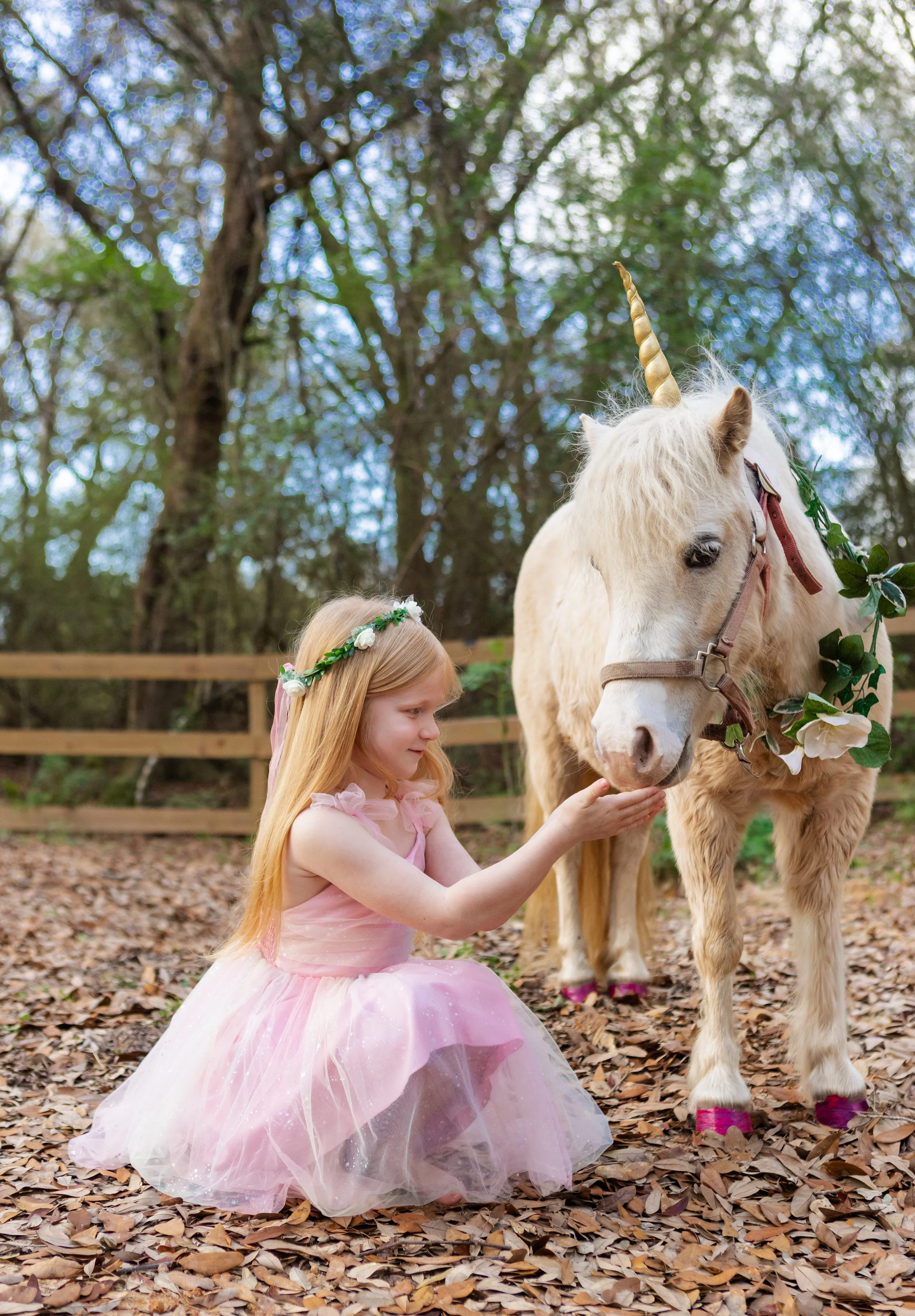 A little girl and a unicorn on the farm in south Alabama
