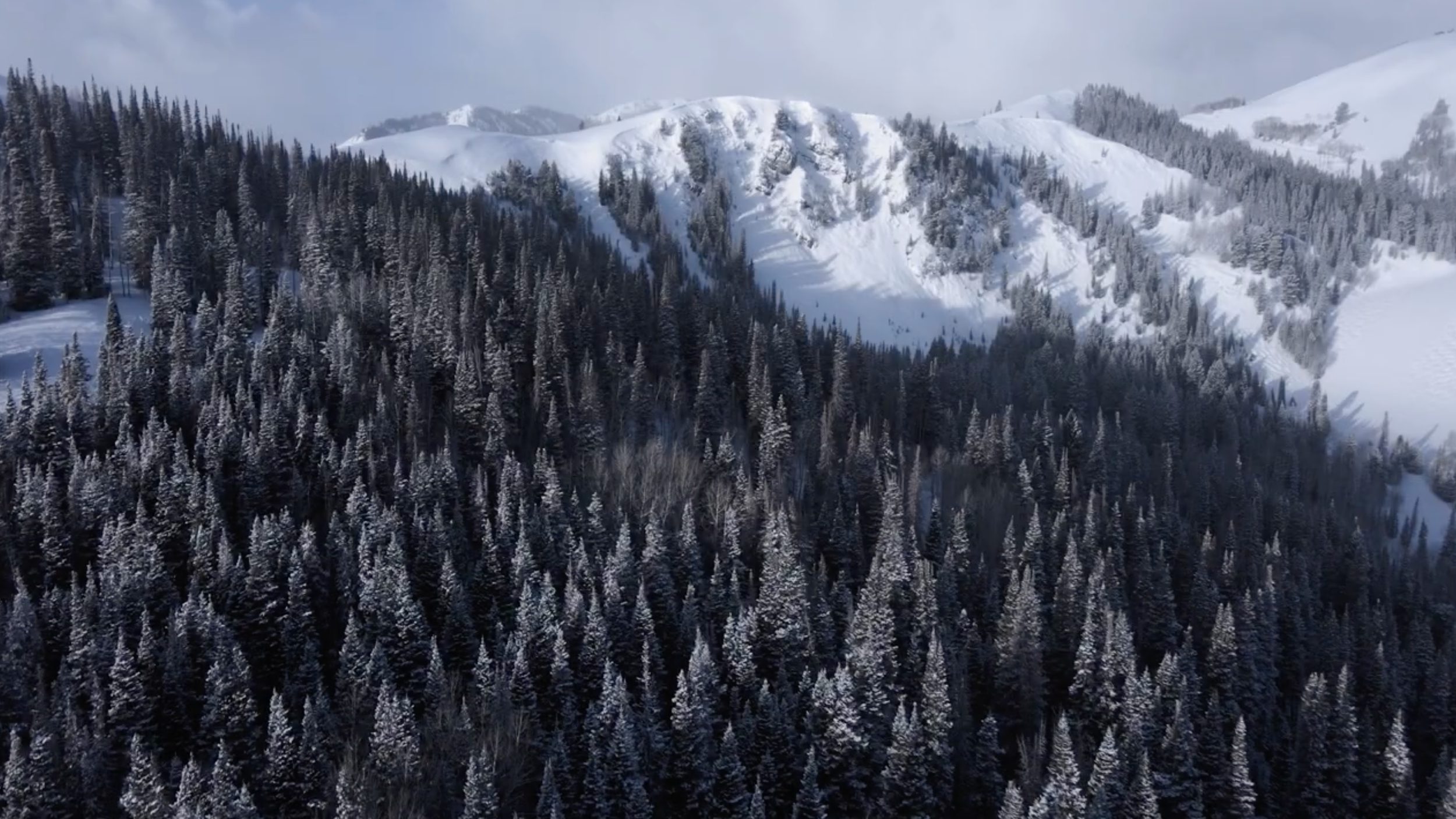 Screenshot 2026-02-23 at 2.37.46 PM.png