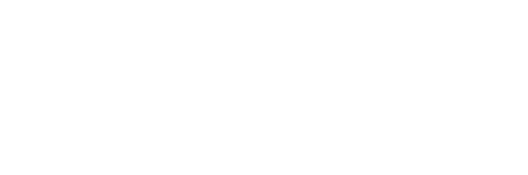 The Ski Shoe