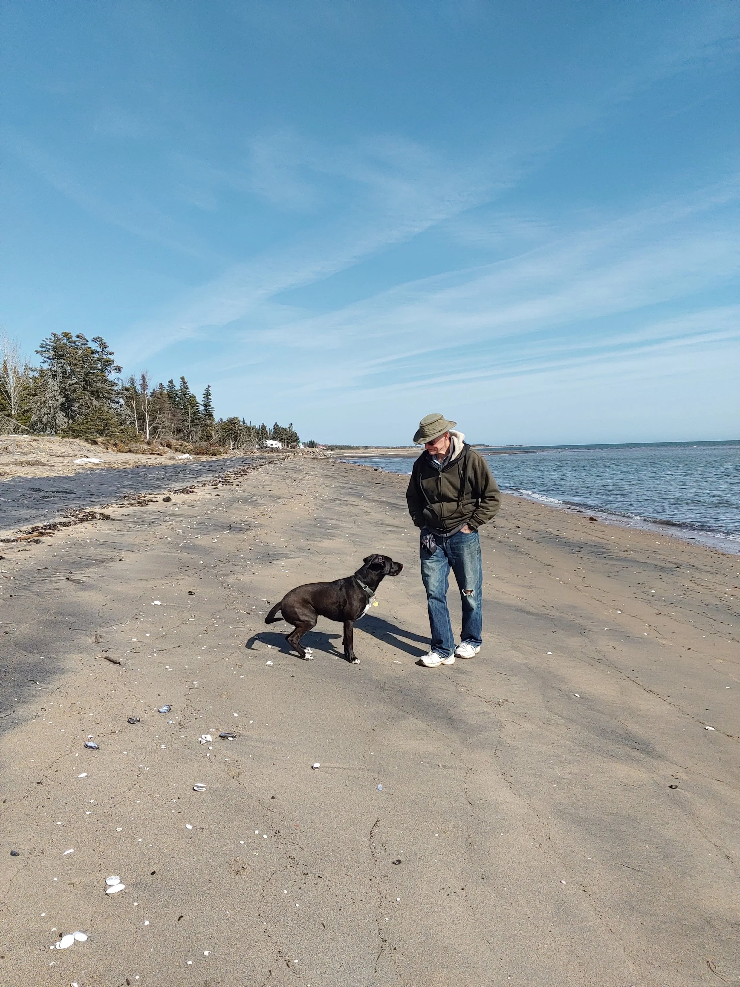 Alan Morewood Evans and his black dog on a sandy beach in Tadoussac, Quebec under a blue sky with clouds, with vegetation in the background.