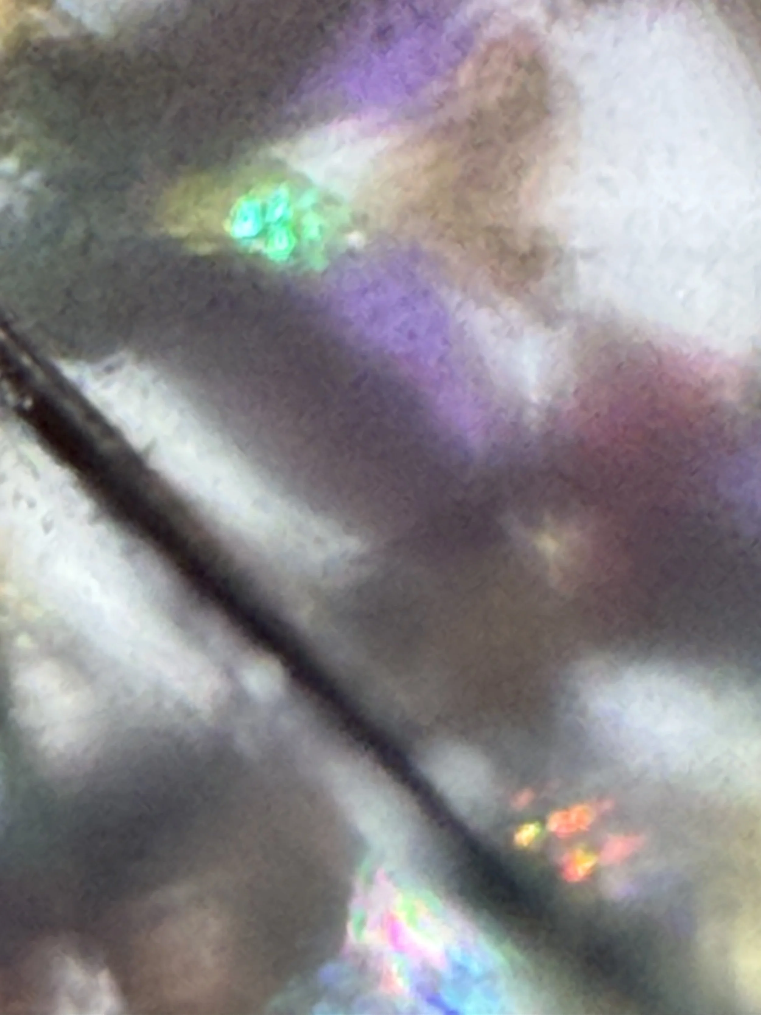 IMG_9214.jpeg