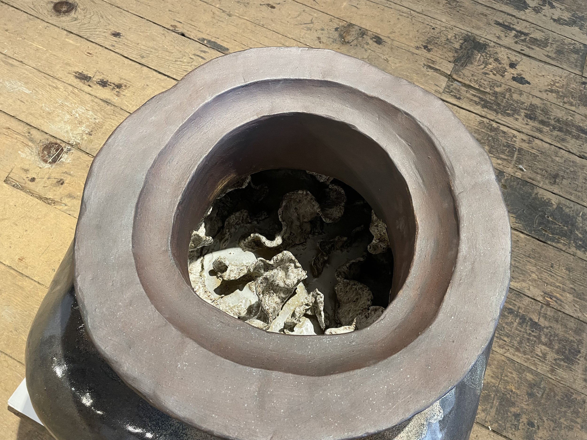 Anna_Bruce_The Genesis Pot2.jpeg