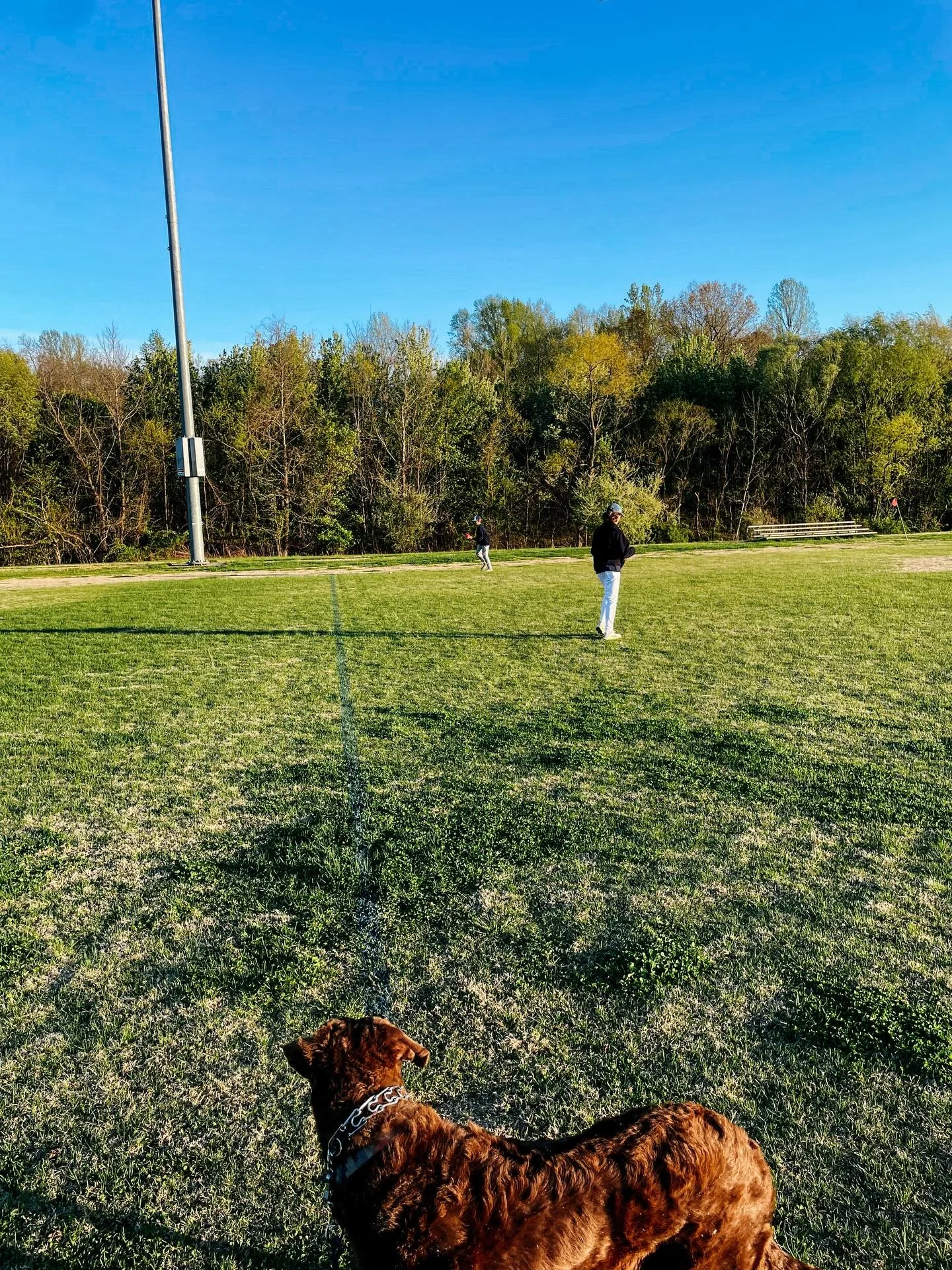 A little glimpse of life lately, outside of the office 🤍

track meets and soccer sidelines
afternoon iced coffee that somehow keeps me going
quiet moments in church taking notes I didn&rsquo;t know I needed
and late night resets when the house final