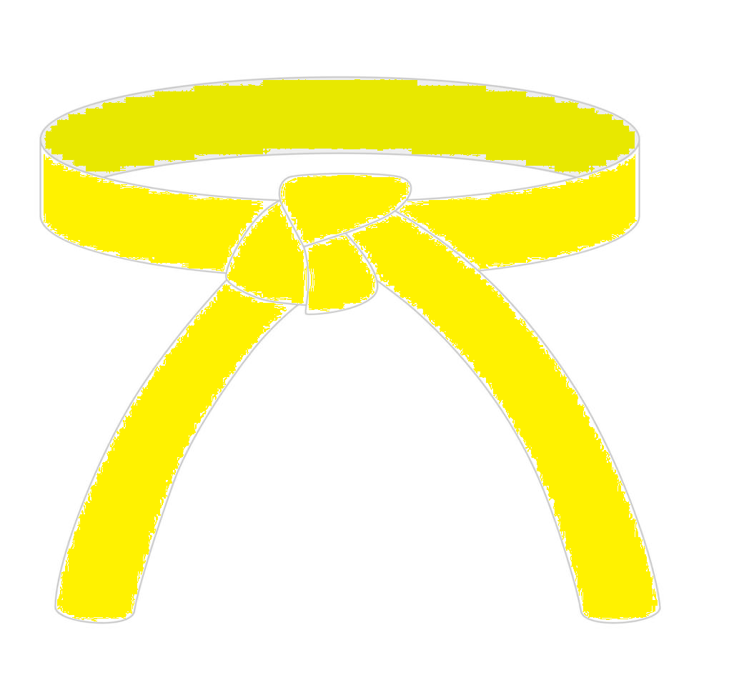 A yellow belt tied in a bow.