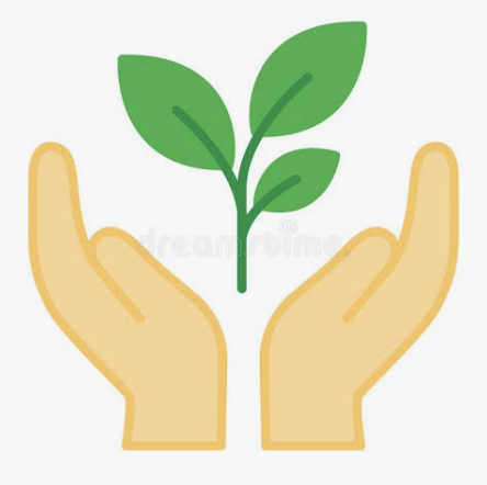 Two hands gently holding a small plant with green leaves.