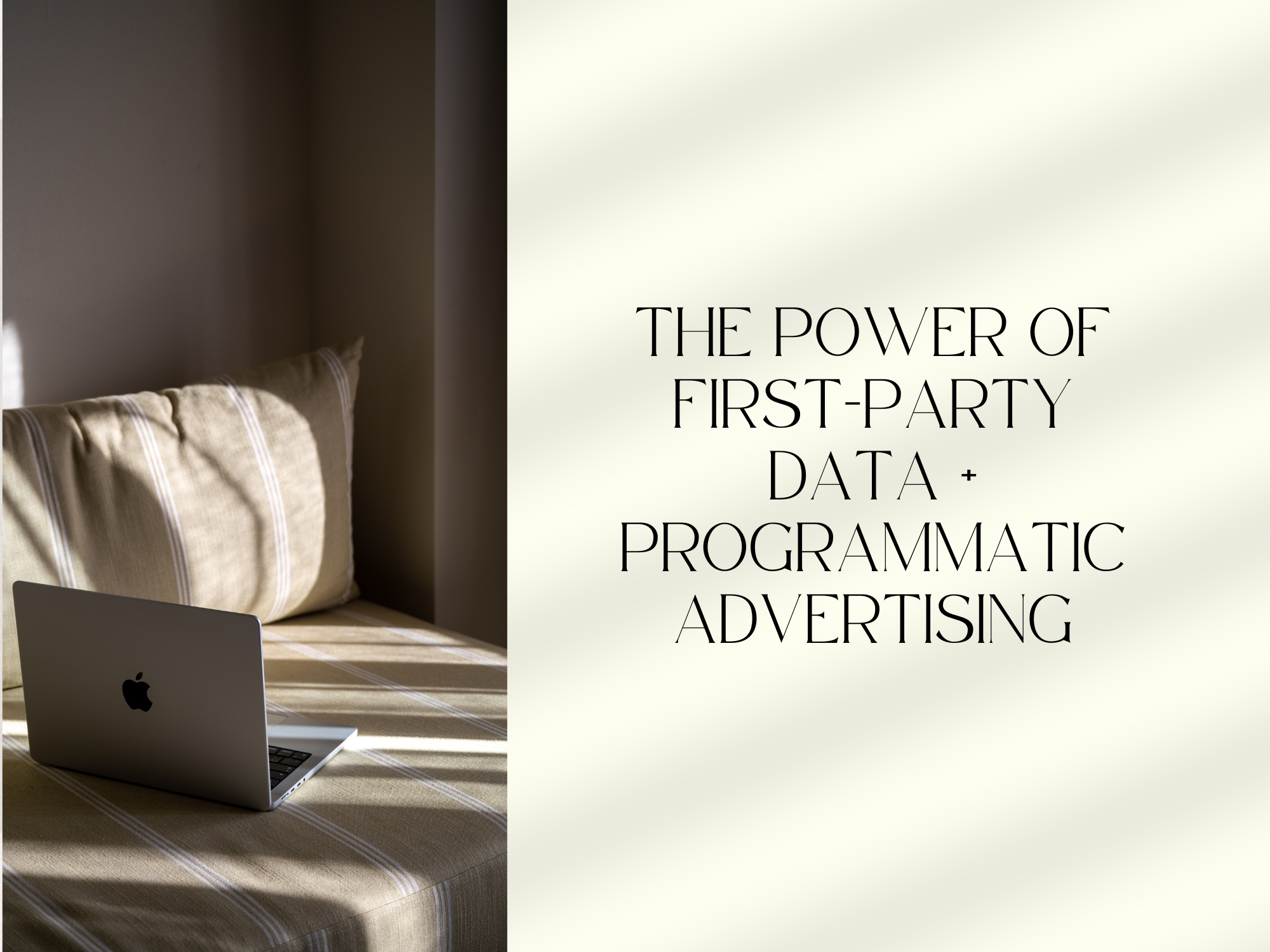 November 2025: The Power Of First-Party Data + Programmatic Advertising
