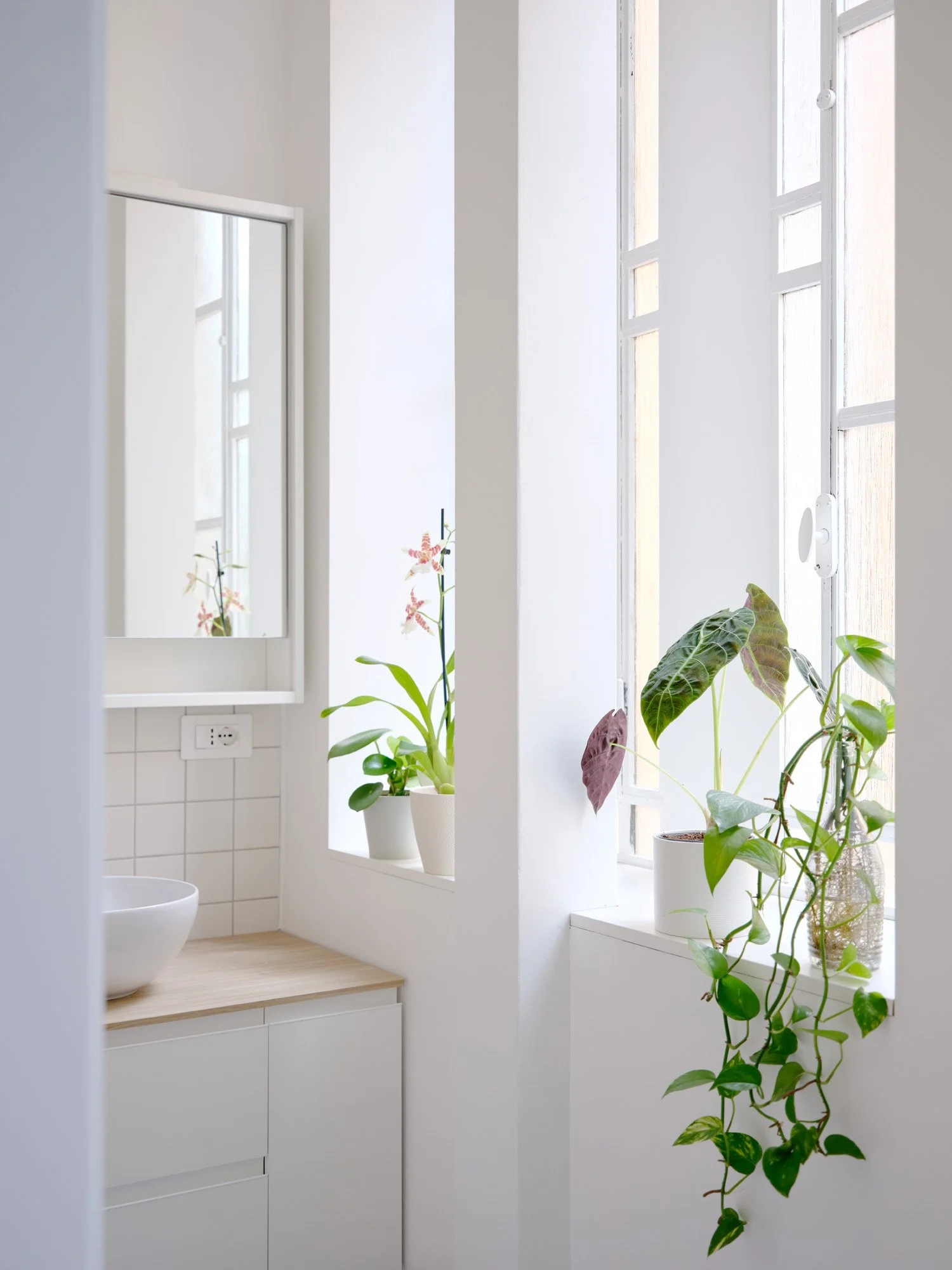 _FRA0723 _ WEB _ Giulia Zanetti © francesca iovene.jpg