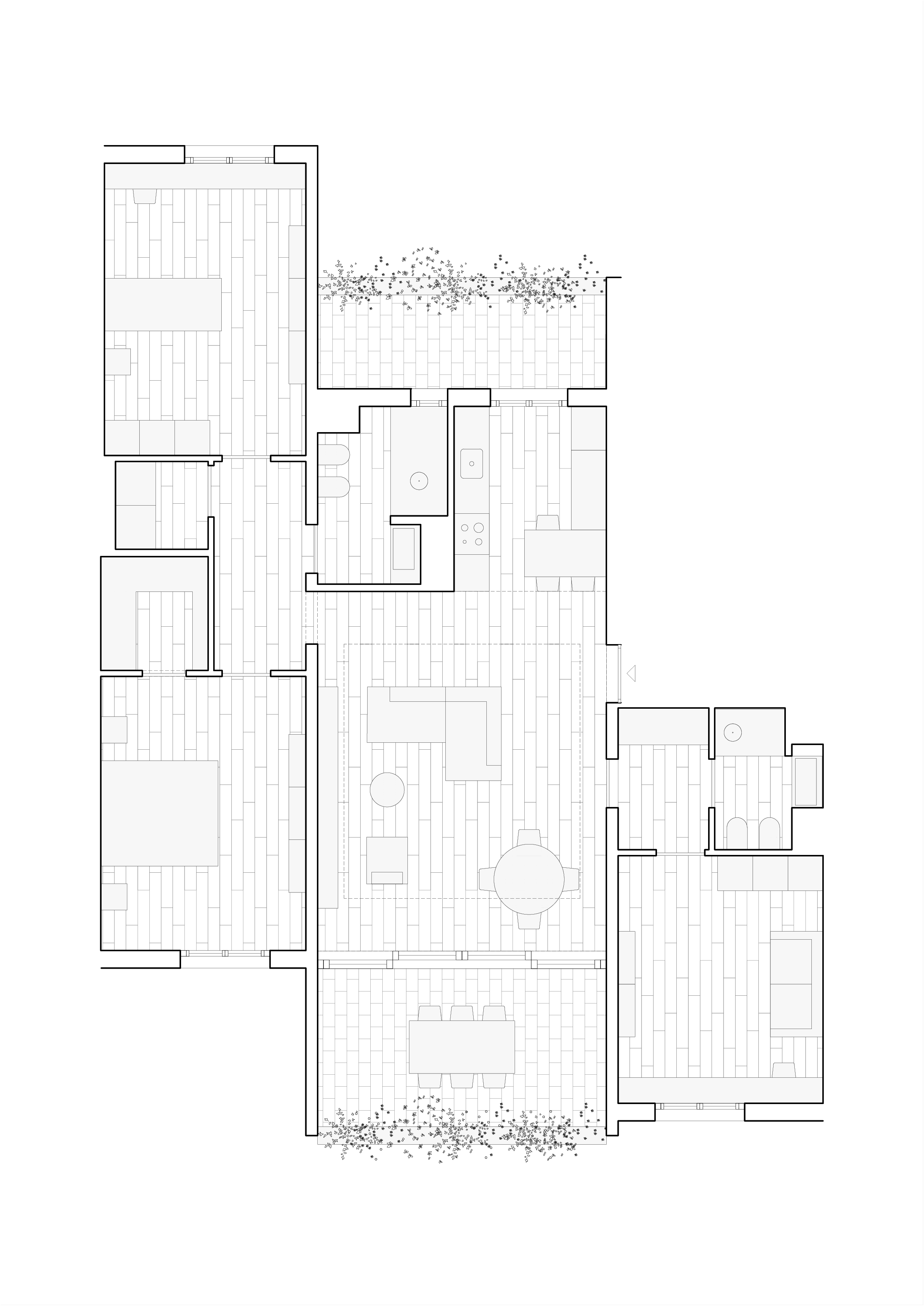 CDR_PRG-Pianta copy.png