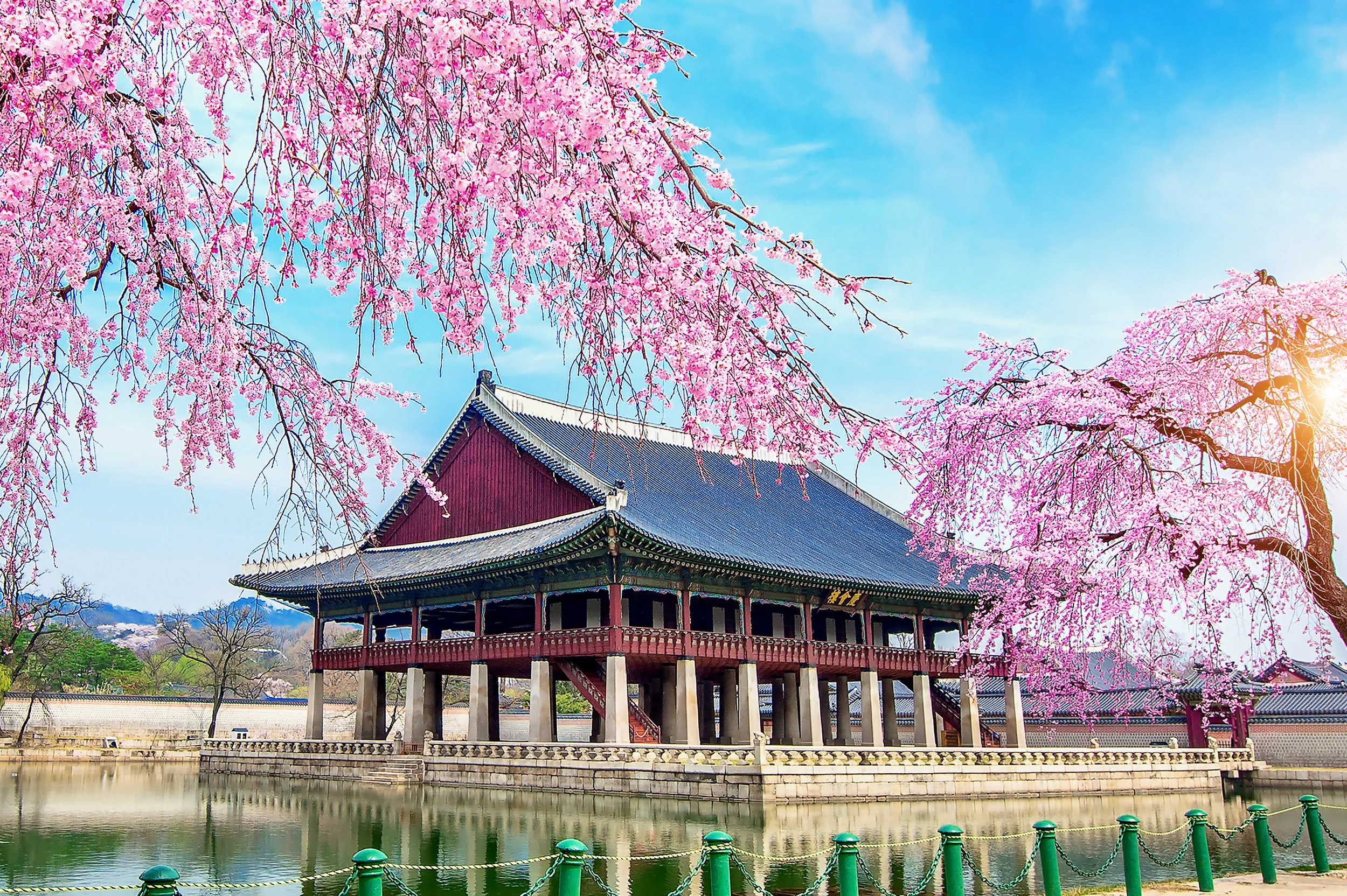 gyeongbokgung-palace-with-cherry-blossom-spring-seoul-korea.jpg