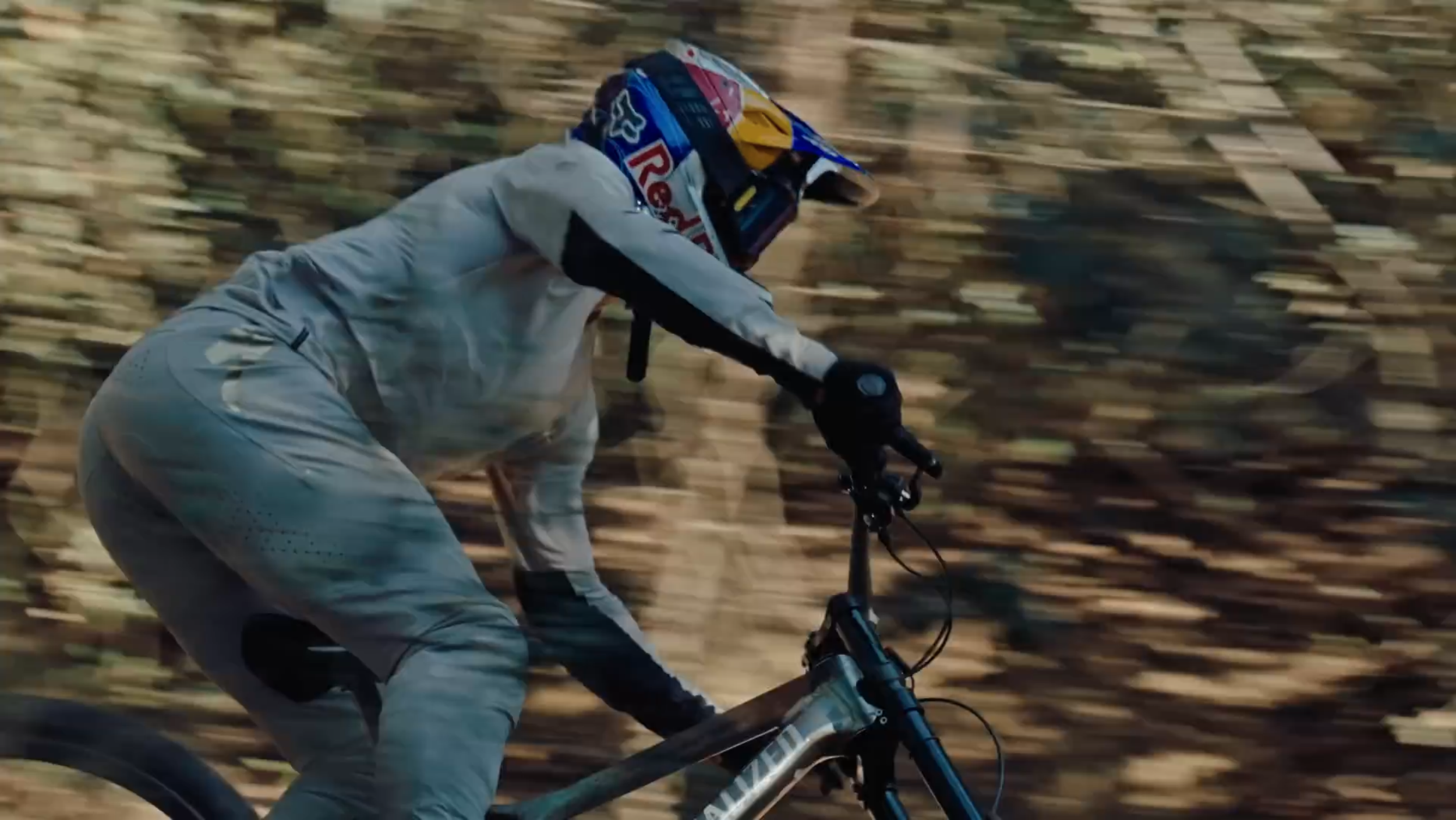 Person auf Mountainbike im Wald, trägt Helm und Schutzkleidung, schnelle Fahrt durch das Laub, Bewegung sichtbar.