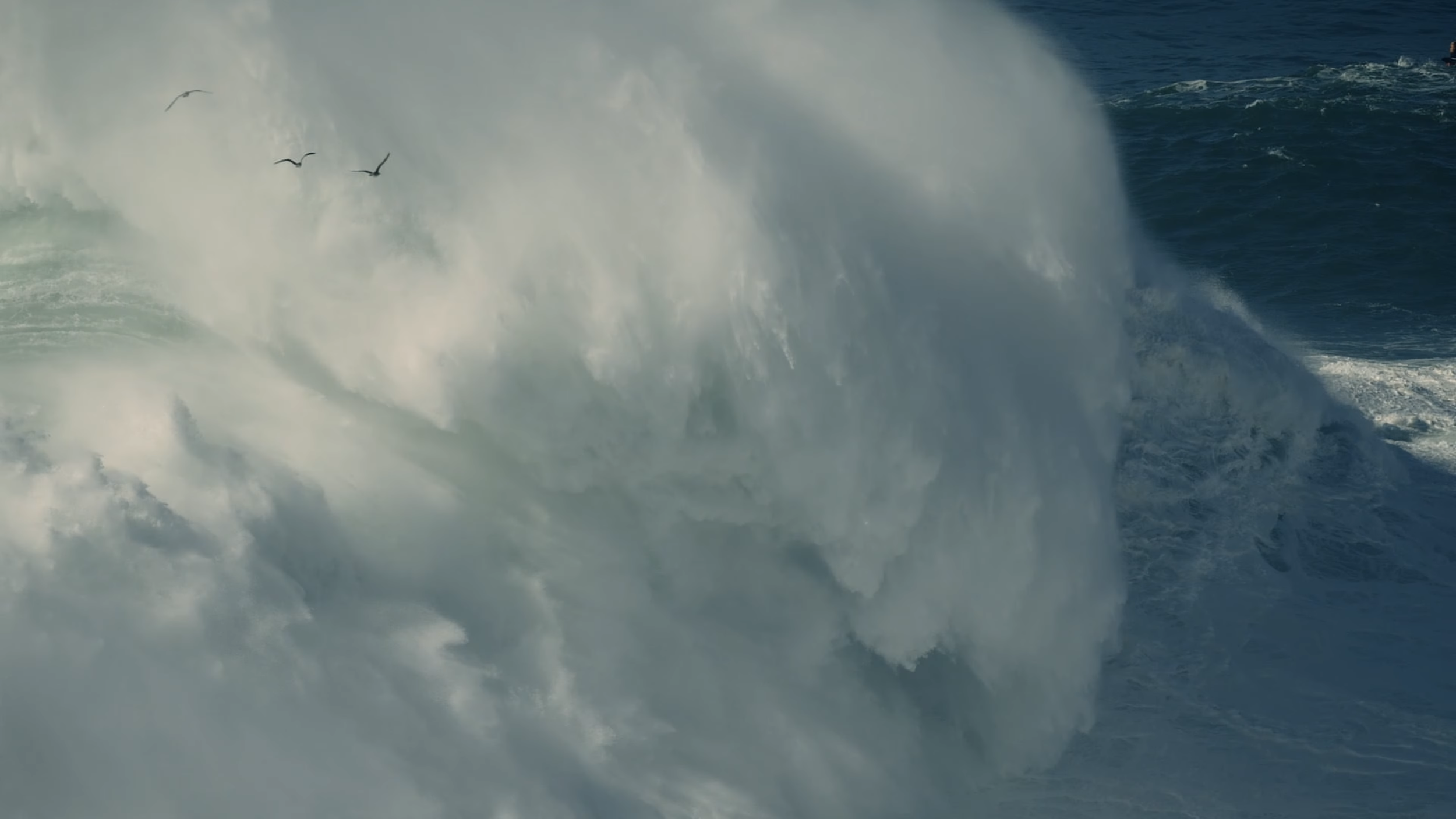 Große Welle im Ozean mit ein paar fliegenden Vögeln im Himmel.