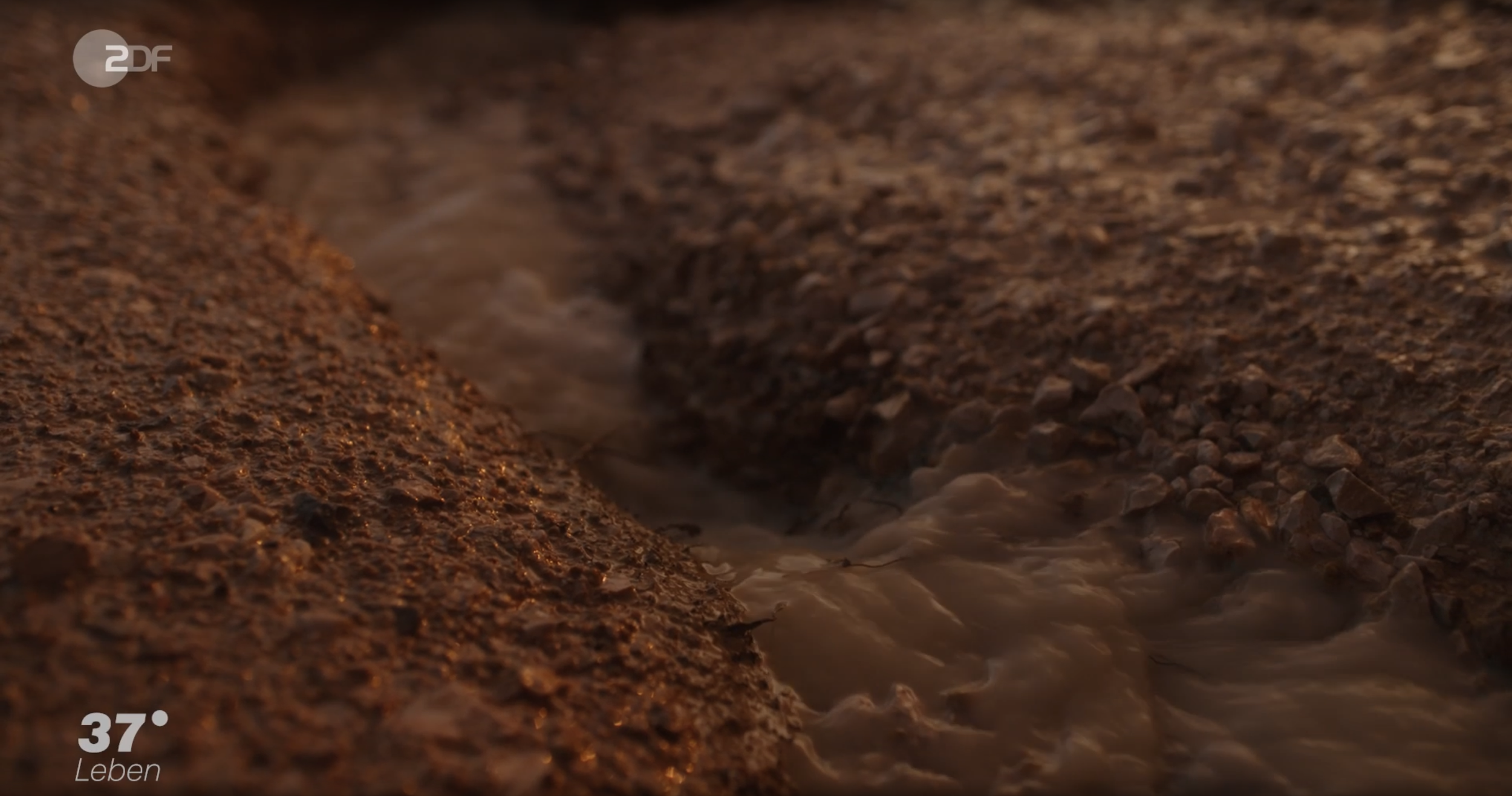 Nahaufnahme von schlammigem Wasser, das durch einen kleinen Rinnsal fließt, auf einem trockenen, erdigen Boden.