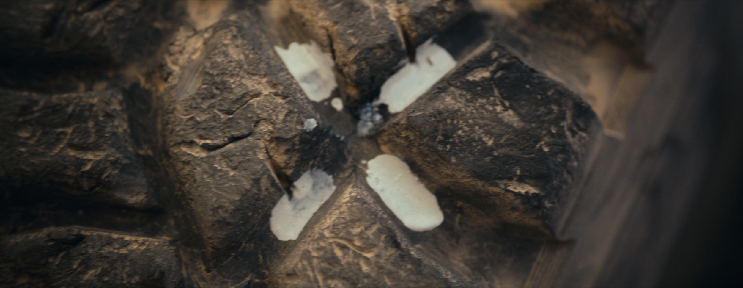 Nahaufnahme eines dunklen, zerklüfteten Felsen mit weißen Flecken auf seiner Oberfläche.