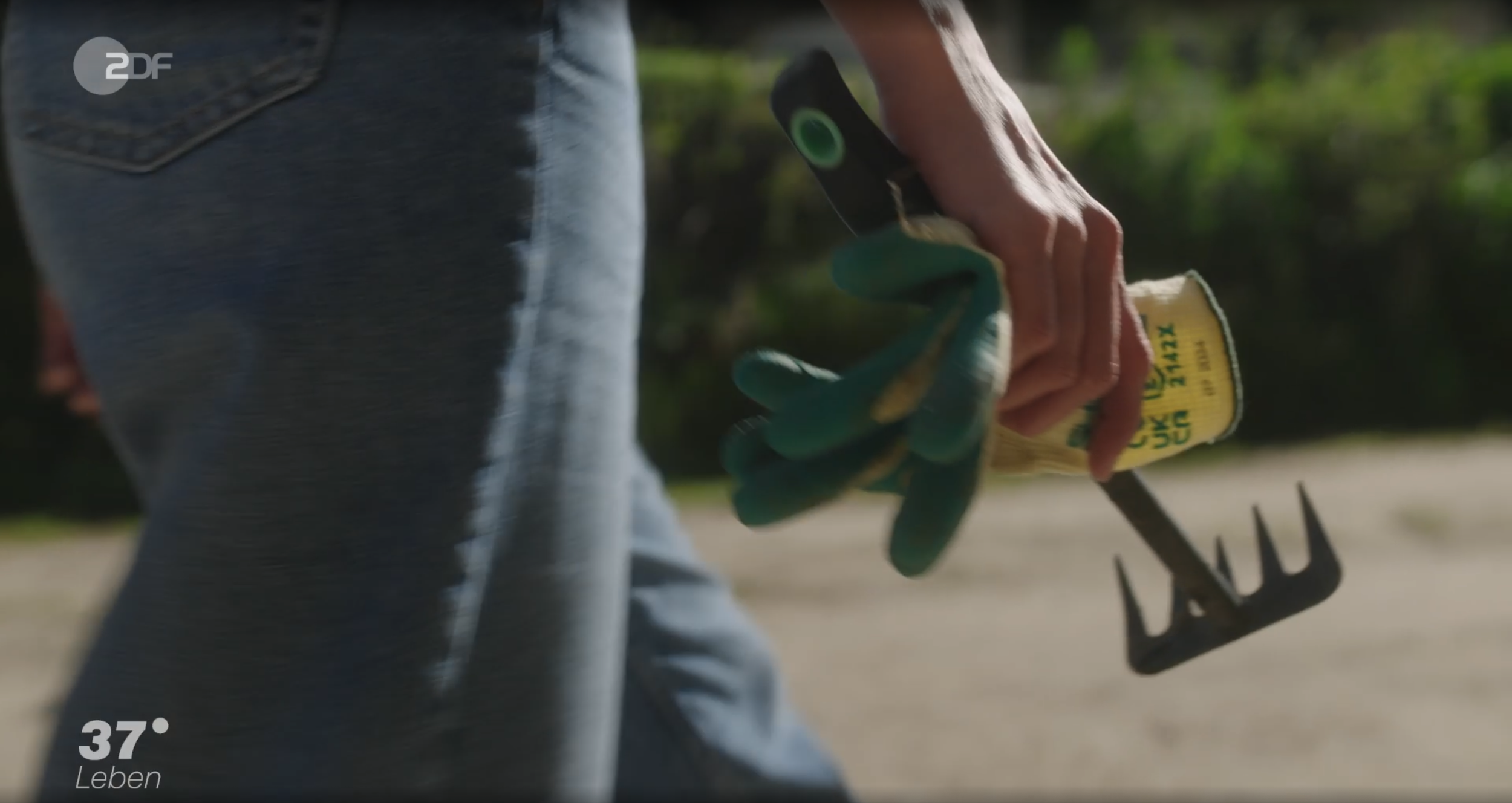 Hand hält eine kleine Gartengabel, trägt eine grüne Gartenhandschuh, im Hintergrund grüne Pflanzen, man trägt Jeans. Die Szene ist im Freien, wahrscheinlich im Garten.