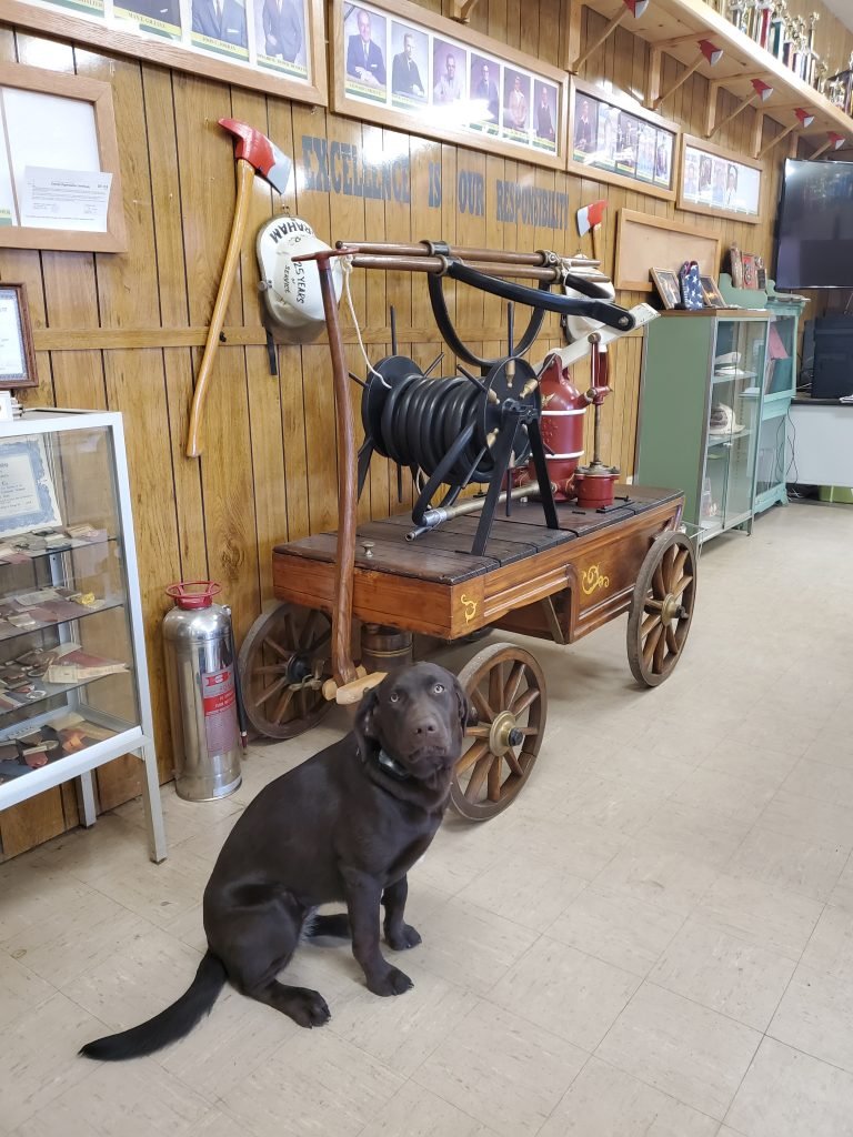 1882 Hand Pumper 
 
Make: Buffalo, Pump: Ramsey. This Hand Pumper was refurbished in the early 2000’s by Residents of the Allegany County ARC under the Supervision of Mike Pasquale.