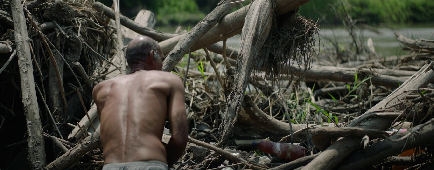 Tantas almas _ 5.png