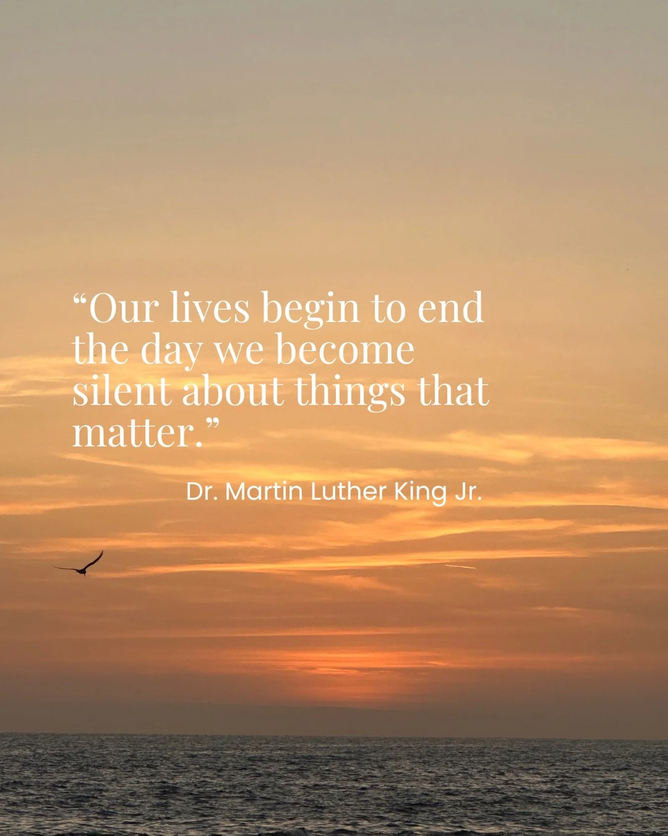Using your voice is an act of courage. 
Dr. King showed us what&rsquo;s possible when we do it together.