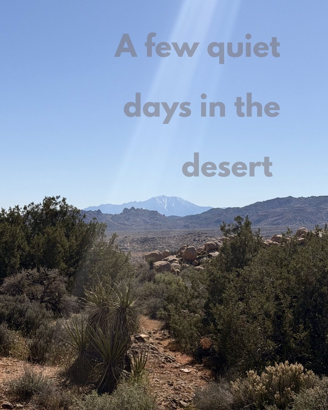 I spent the last weekend assisting at a silent Mindful Meditation retreat in the desert. ✨

My teacher, who I trained with a couple years ago, was leading the retreat and I was helping with small things - ringing the bell, setting up spaces, bringing