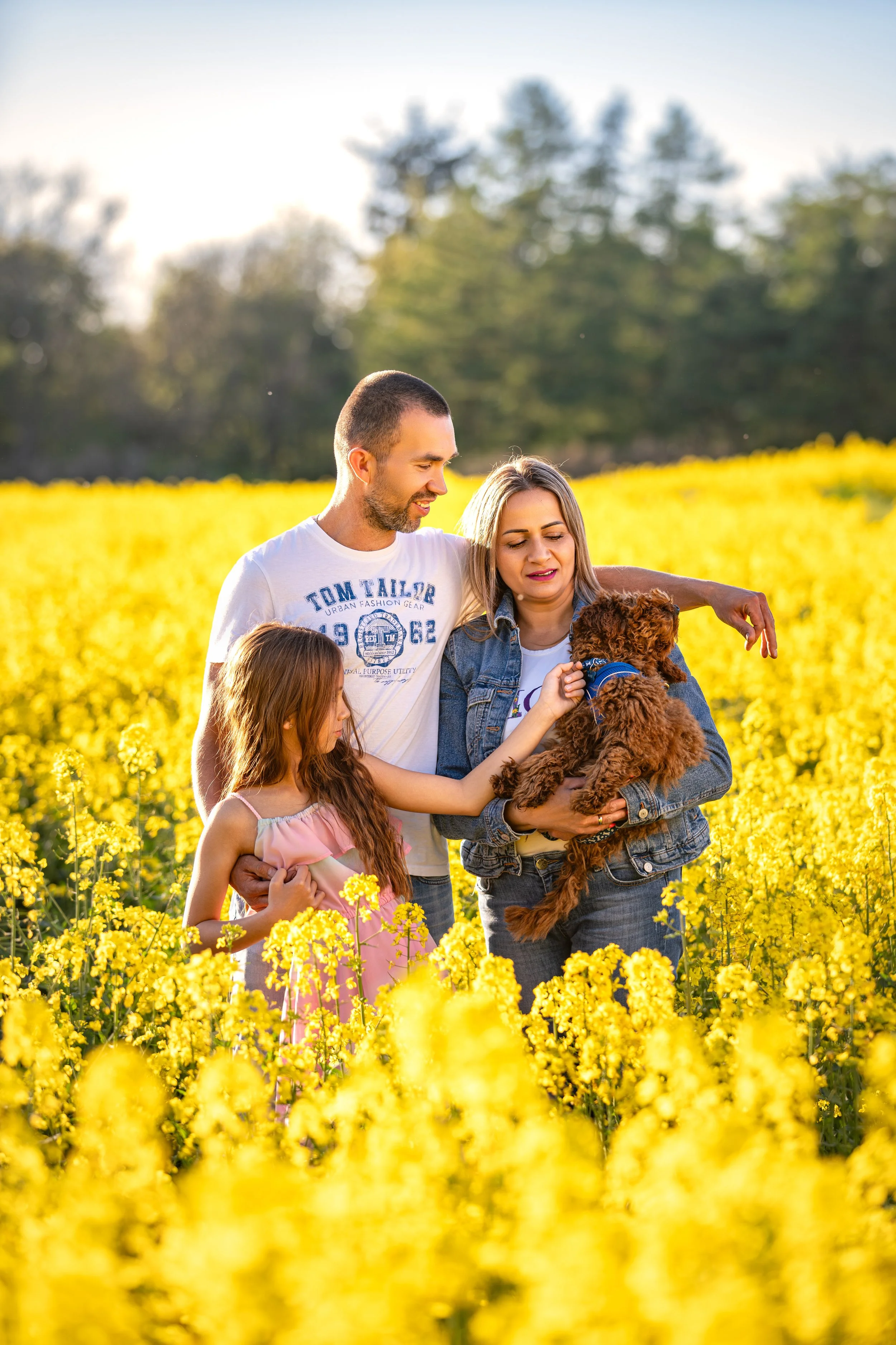 A family enjoying a warm spring evening in a blooming rapeseed field, gathered together with their small dog in soft golden sunlight.