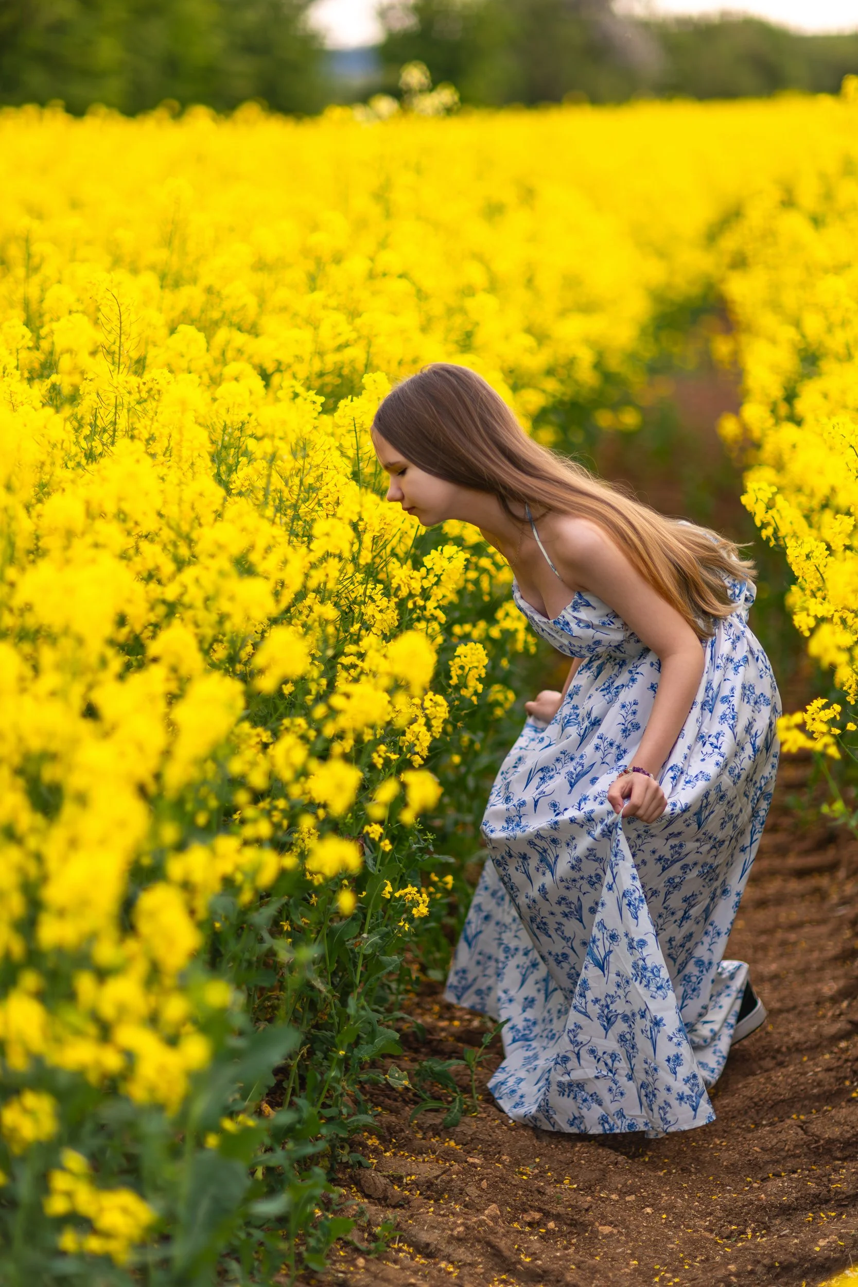 A young girl in a flowing floral dress leaning toward blooming rapeseed flowers in a vibrant yellow field during a calm spring evening.