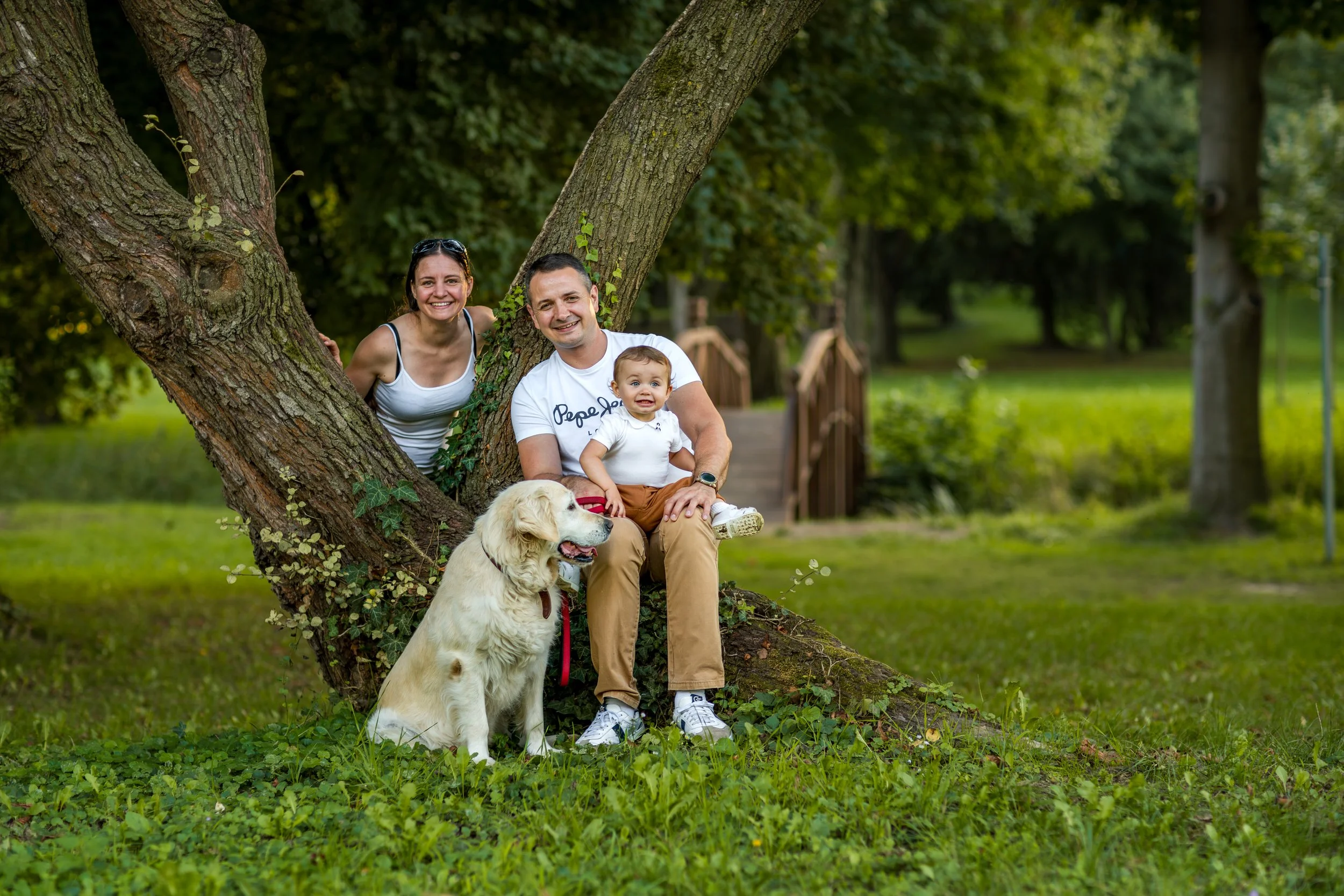 A joyful family with a toddler and a golden retriever sit by a large tree in a lush, green park. A wooden bridge is visible in the background.
