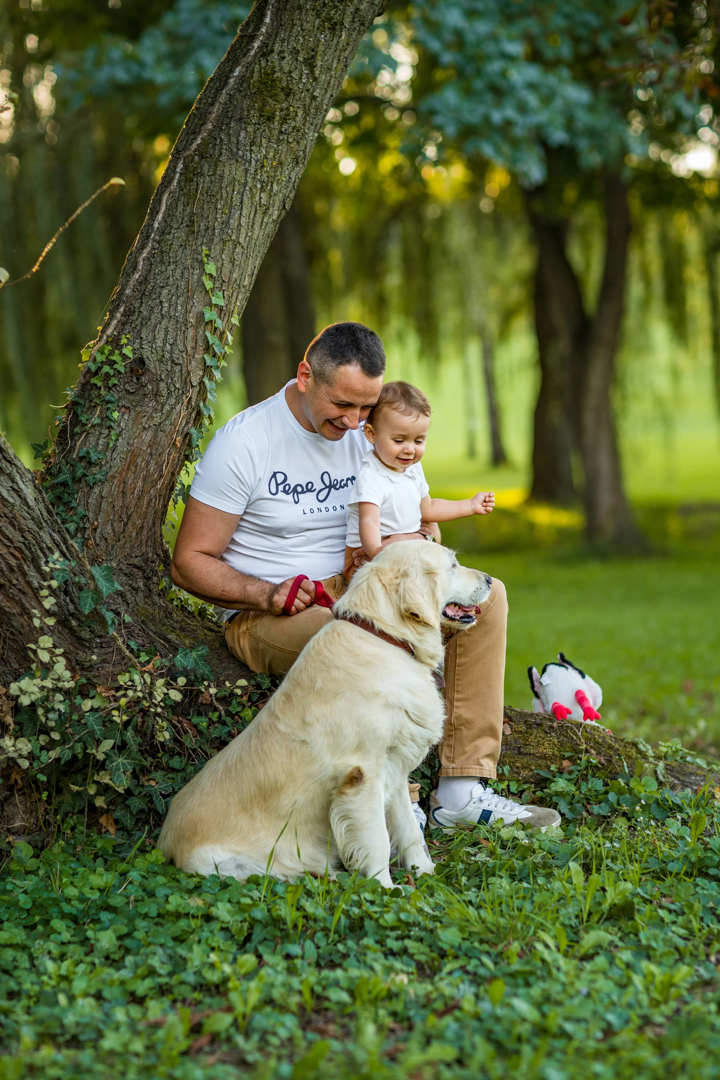 Father and toddler sit under a large tree, smiling at a golden retriever beside them. The lush park scene conveys warmth and joy.