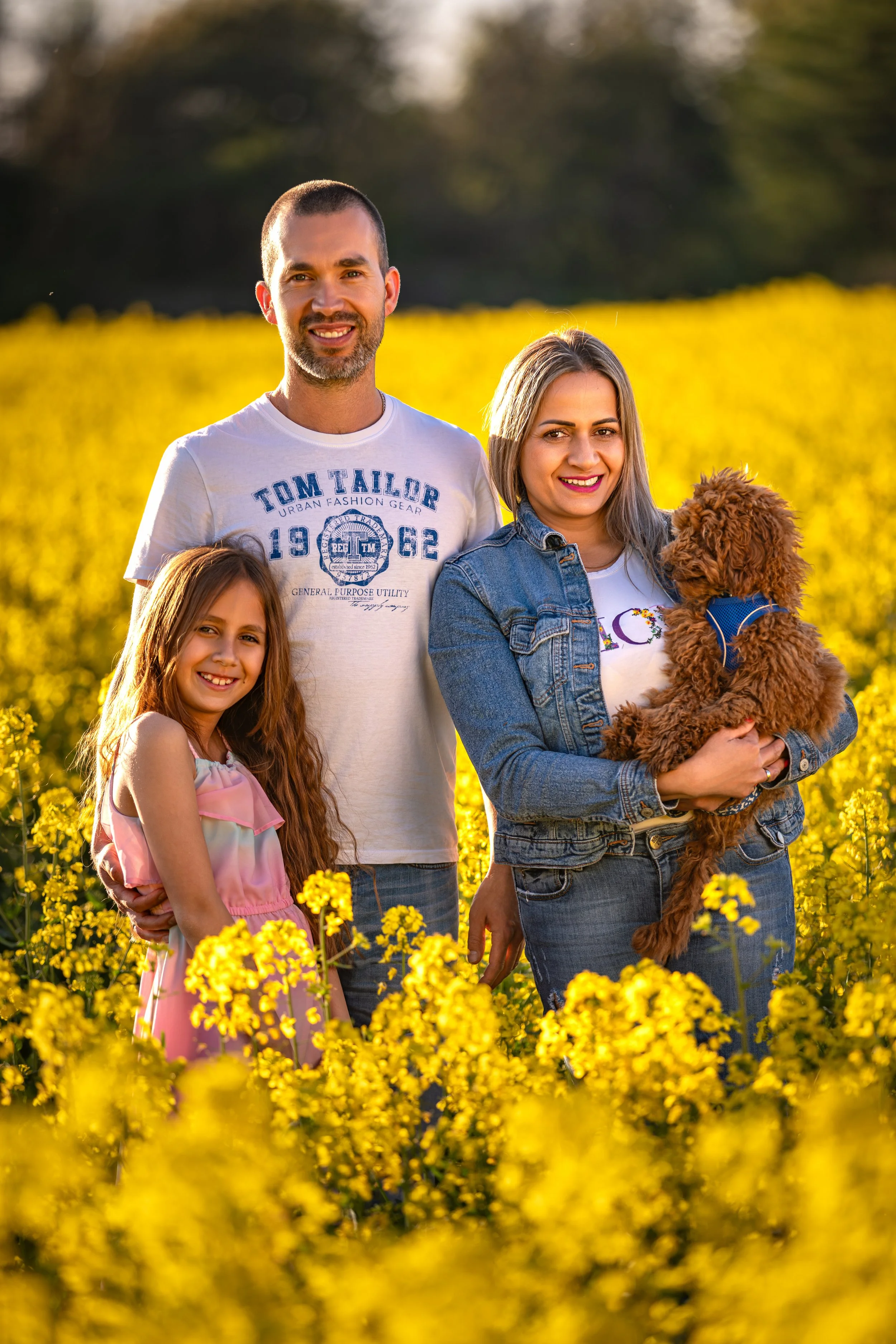 A family enjoying a warm spring evening in a blooming rapeseed field, gathered together with their small dog in soft golden sunlight.