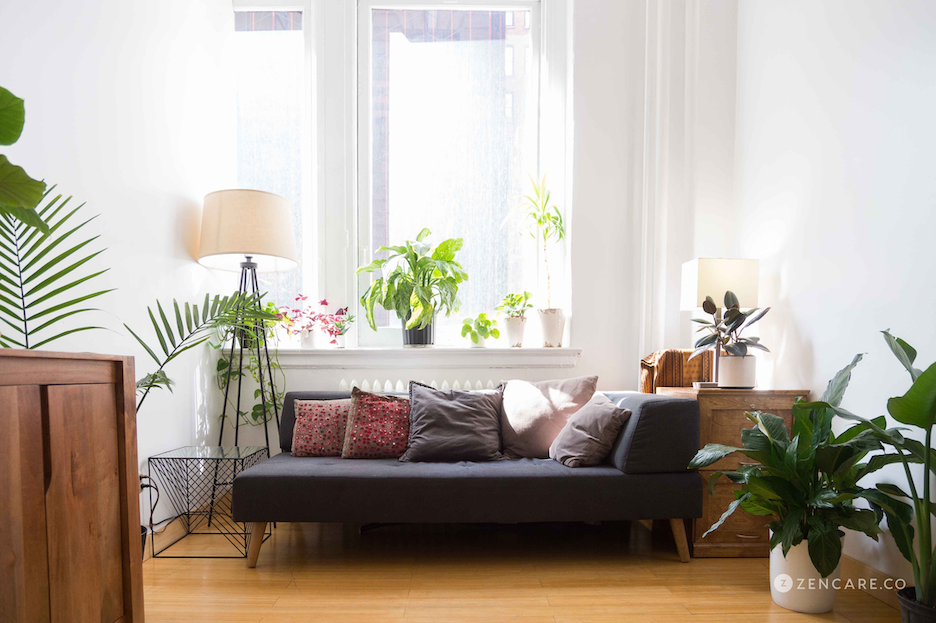 Living room with a gray sofa, multiple pillows, a window with potted plants, a side table with a lamp, a wooden cabinet, and various green plants.
