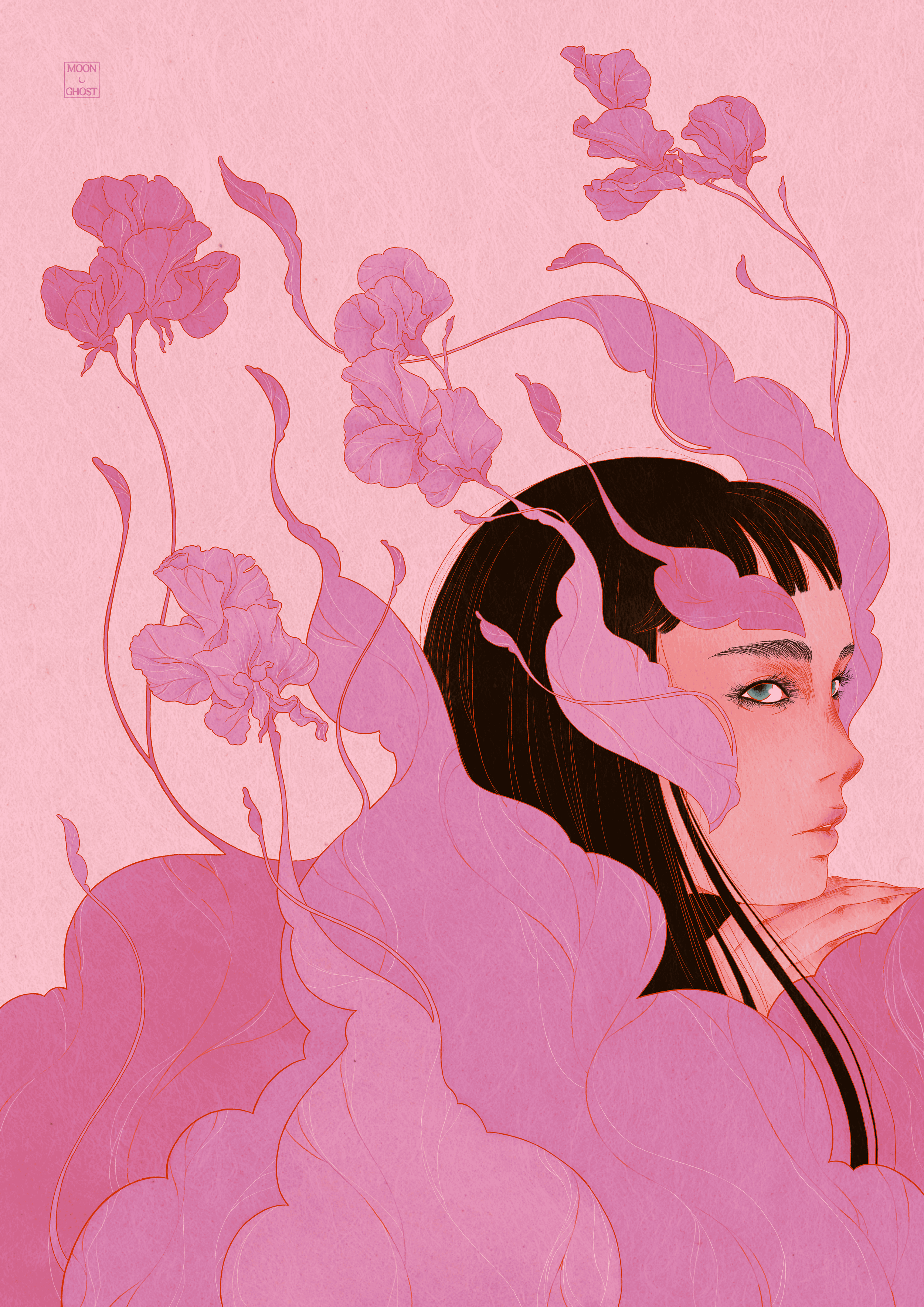 aurora-main-file (1).png