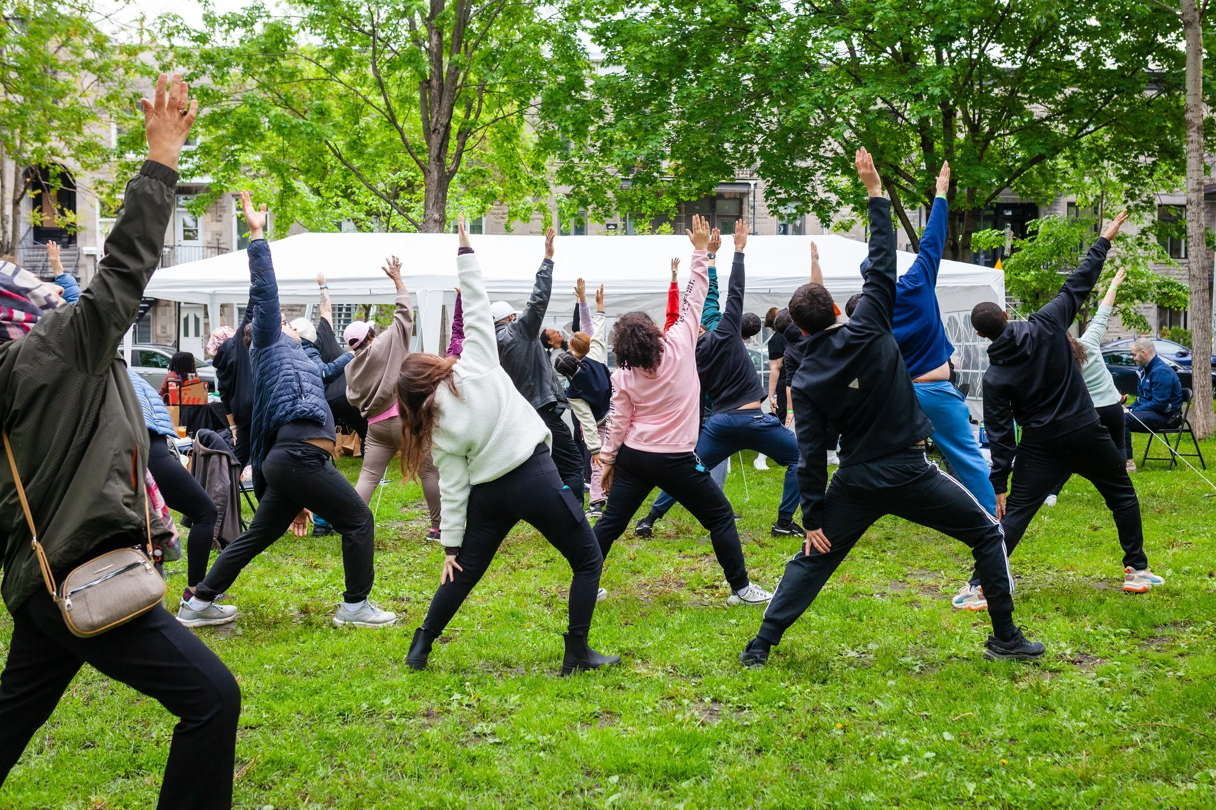 Groupe de personnes faisant du yoga ou étirements dans un parc avec des arbres verts, en plein air, journée ensoleillée.