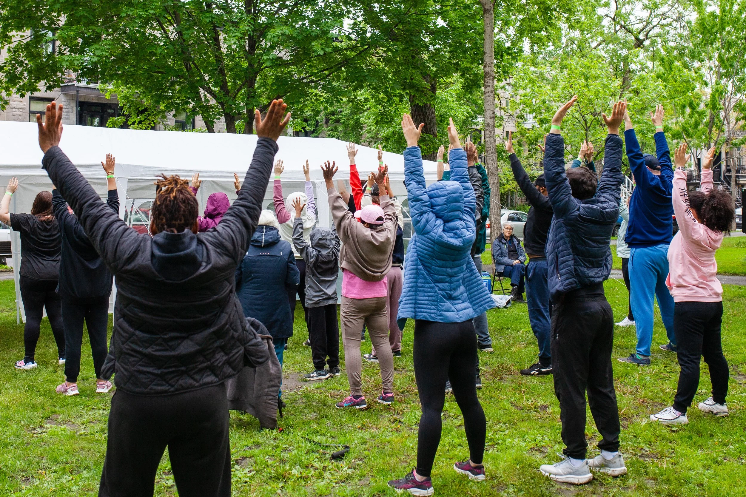Groupe de personnes faisant de l'exercice dans un parc, avec des bras levés, des arbres verts en arrière-plan.