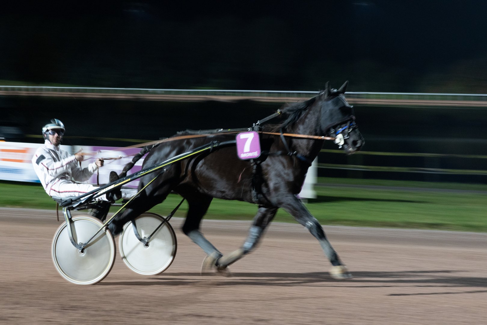 1T5A9065.jpg