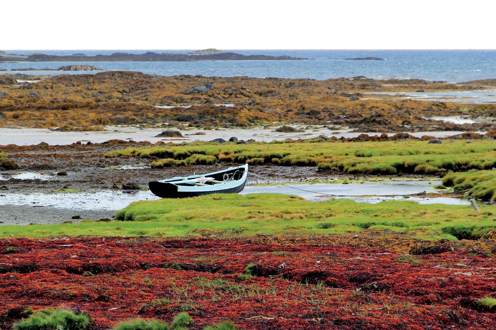 Joël-P.-Couleurs-du-Connemara-60x40.jpg