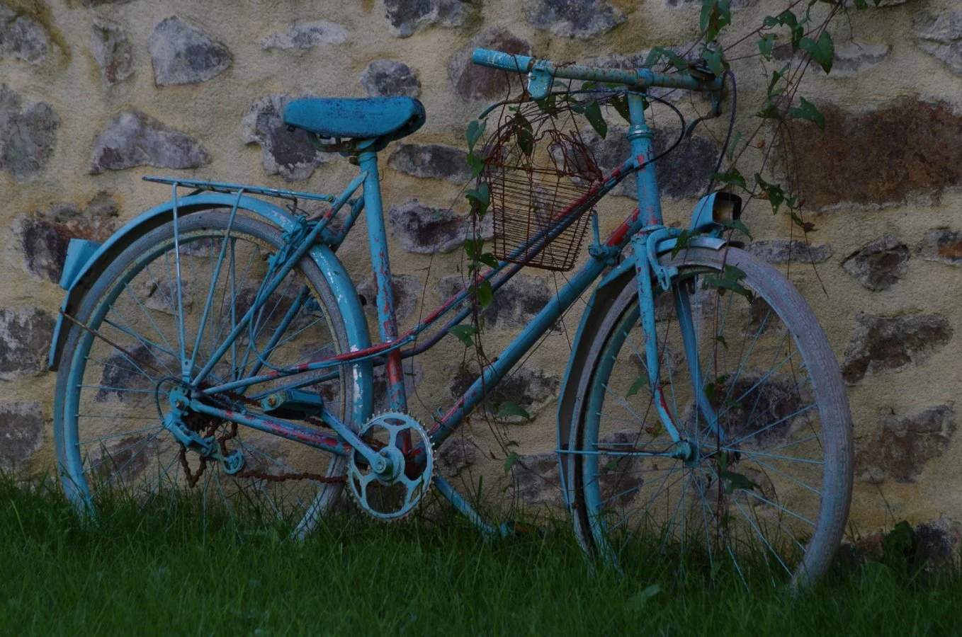 Avec-le-temps-tout-sen-va-à-bicyclette.jpg